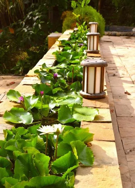 The Narima - SHA Plus