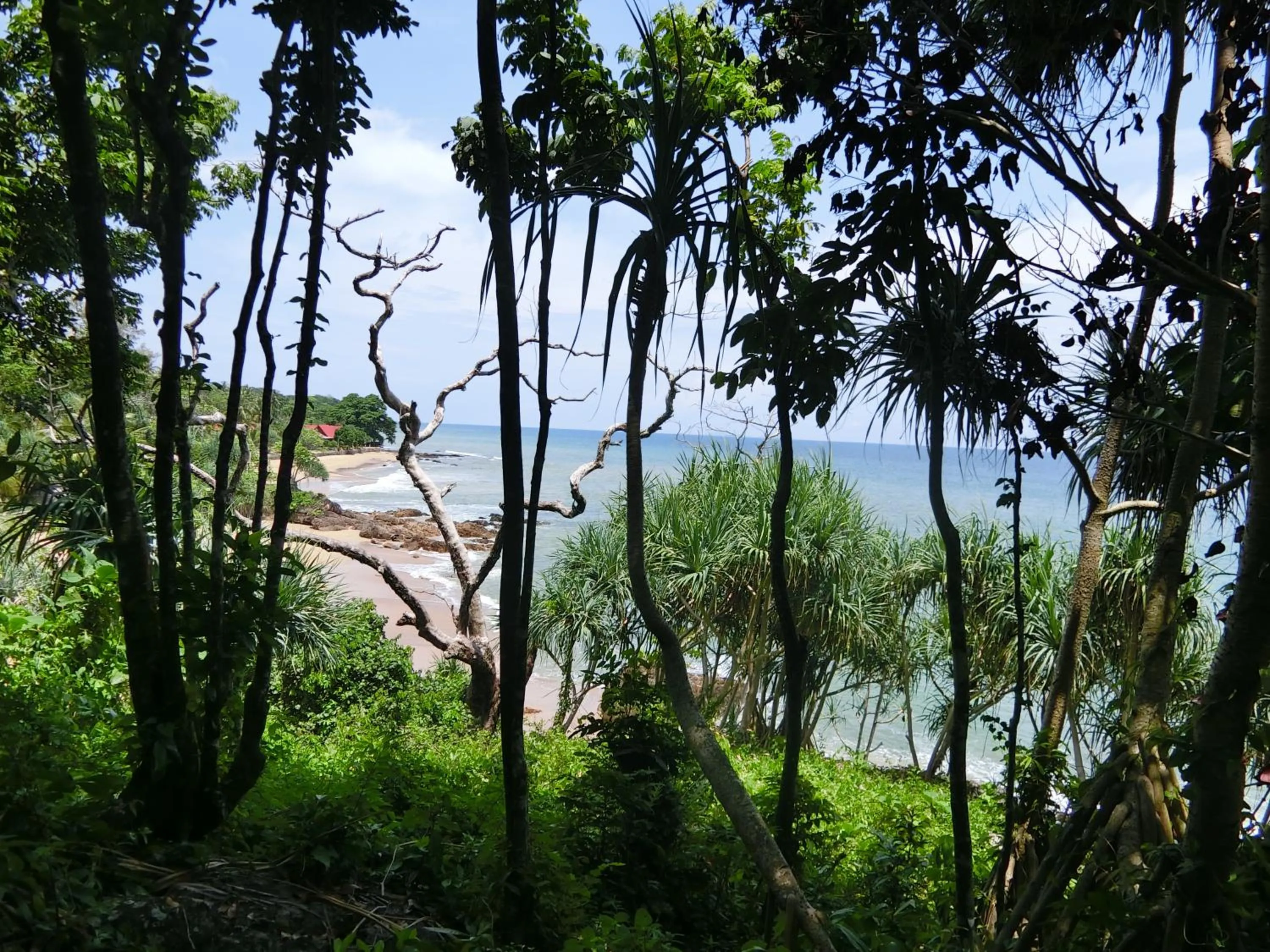 The Narima - SHA Plus