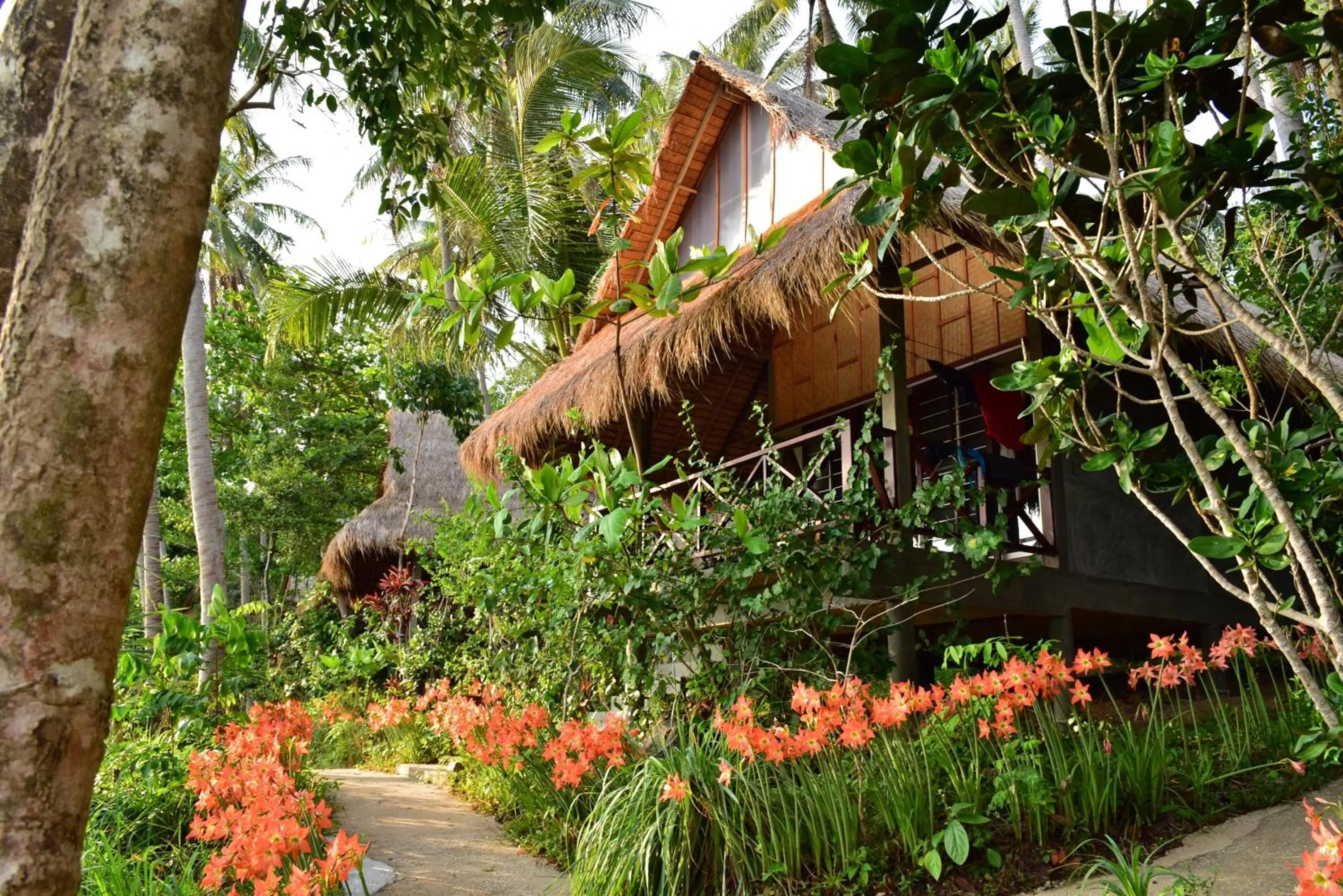 View (from property/room) in The Narima - SHA Plus