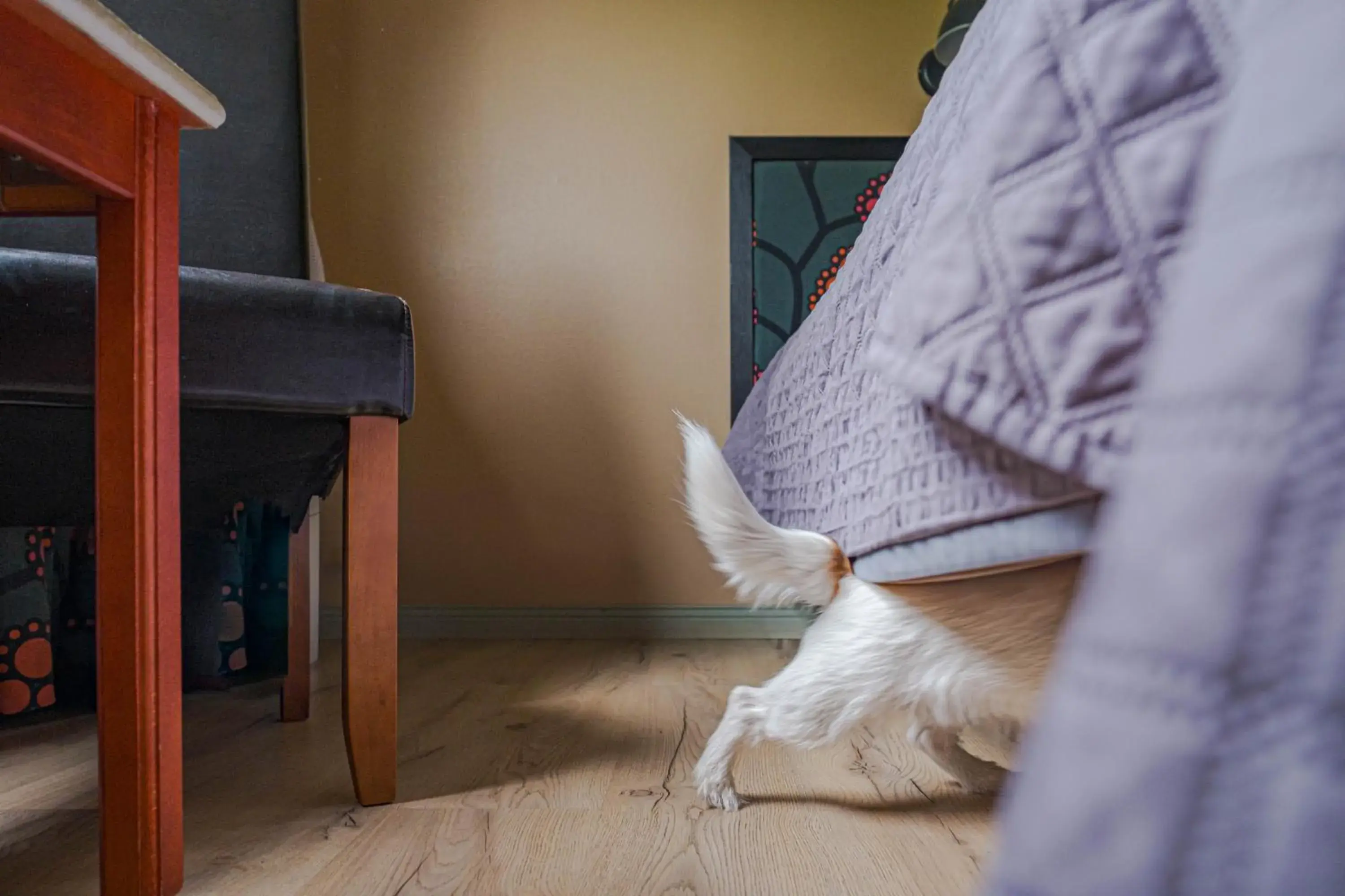 Standard Twin Room - single occupancy in Jämtkrogen Hotell Standard Twin Room - single occupancy in Jämtkrogen Hotell