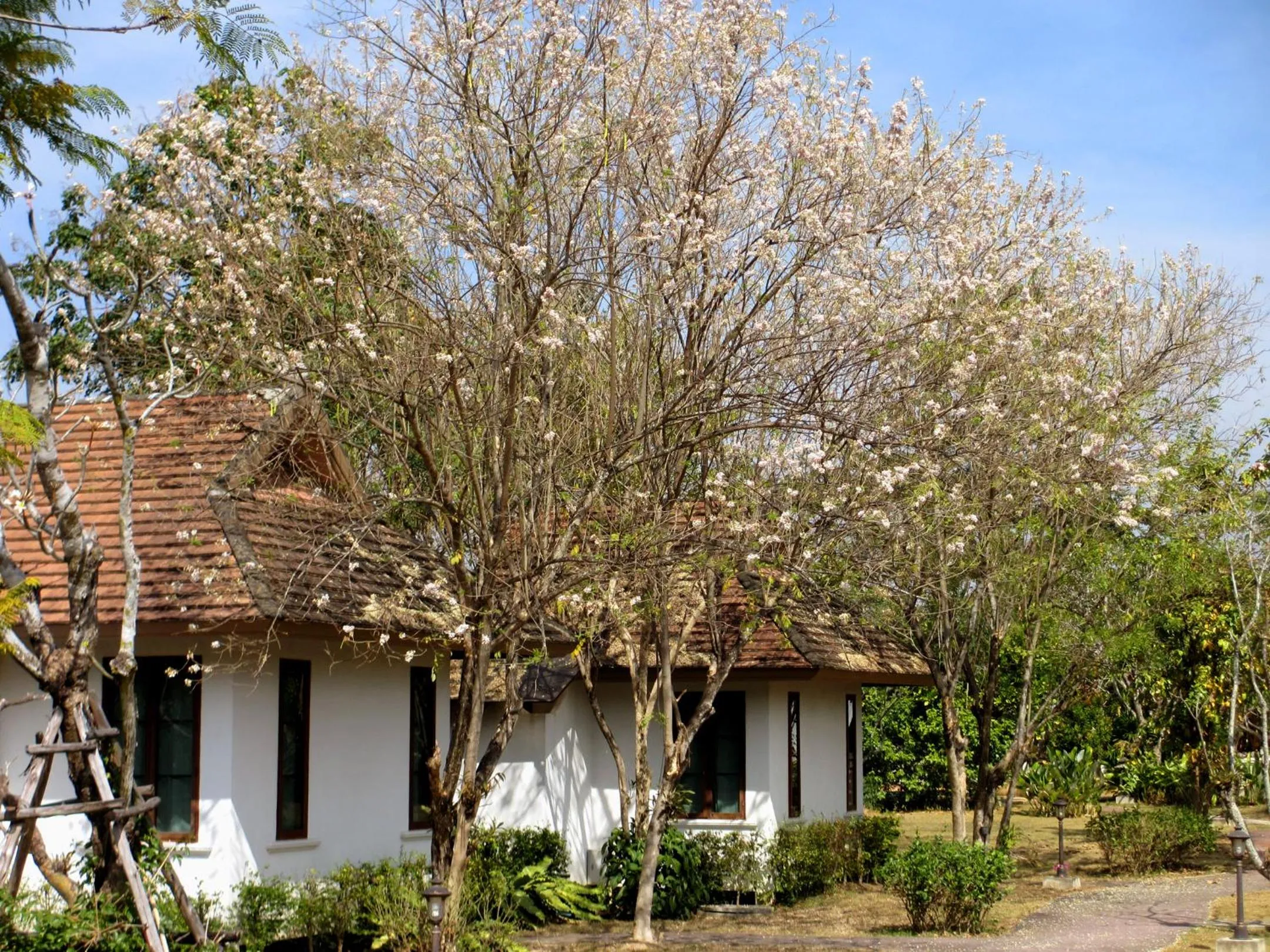 Property building in Jasmine Hills Lodge