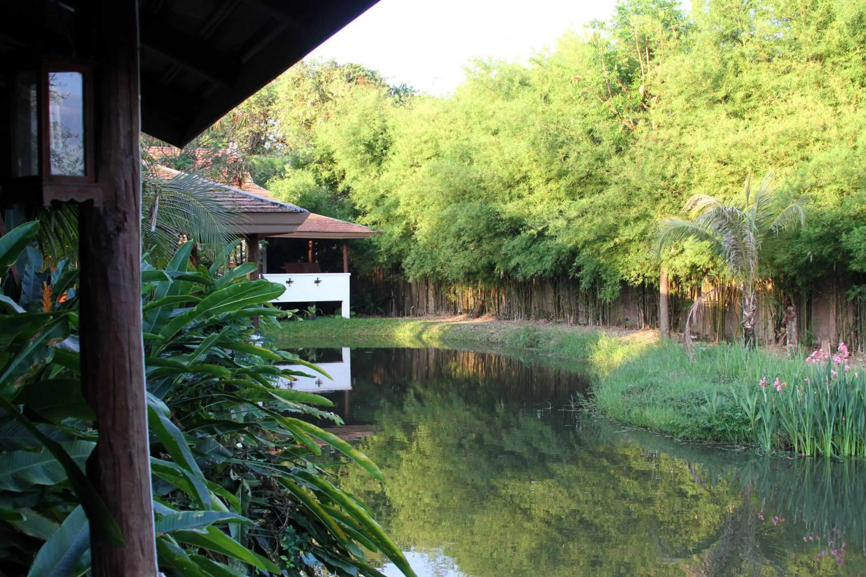 Garden in Jasmine Hills Lodge