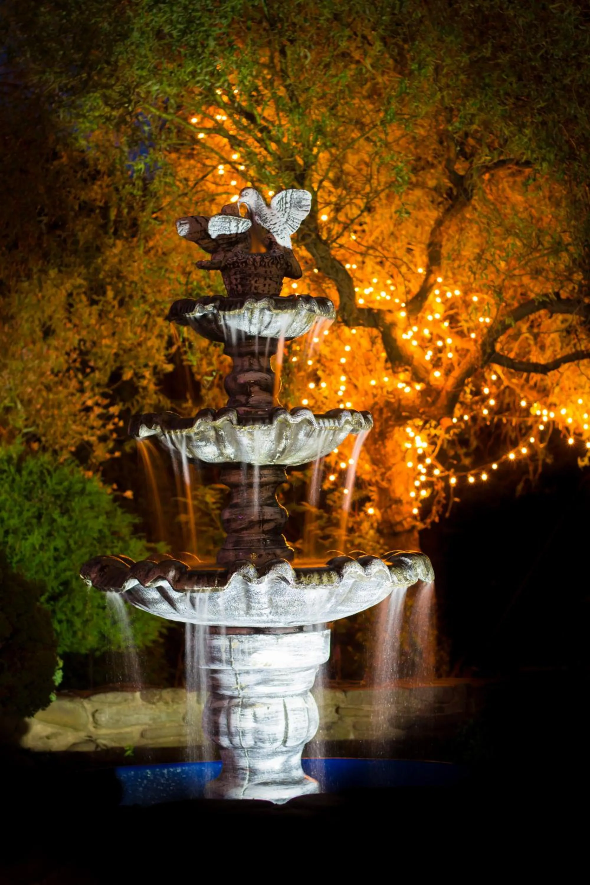 Natural landscape in Olimpia Resort & SPA