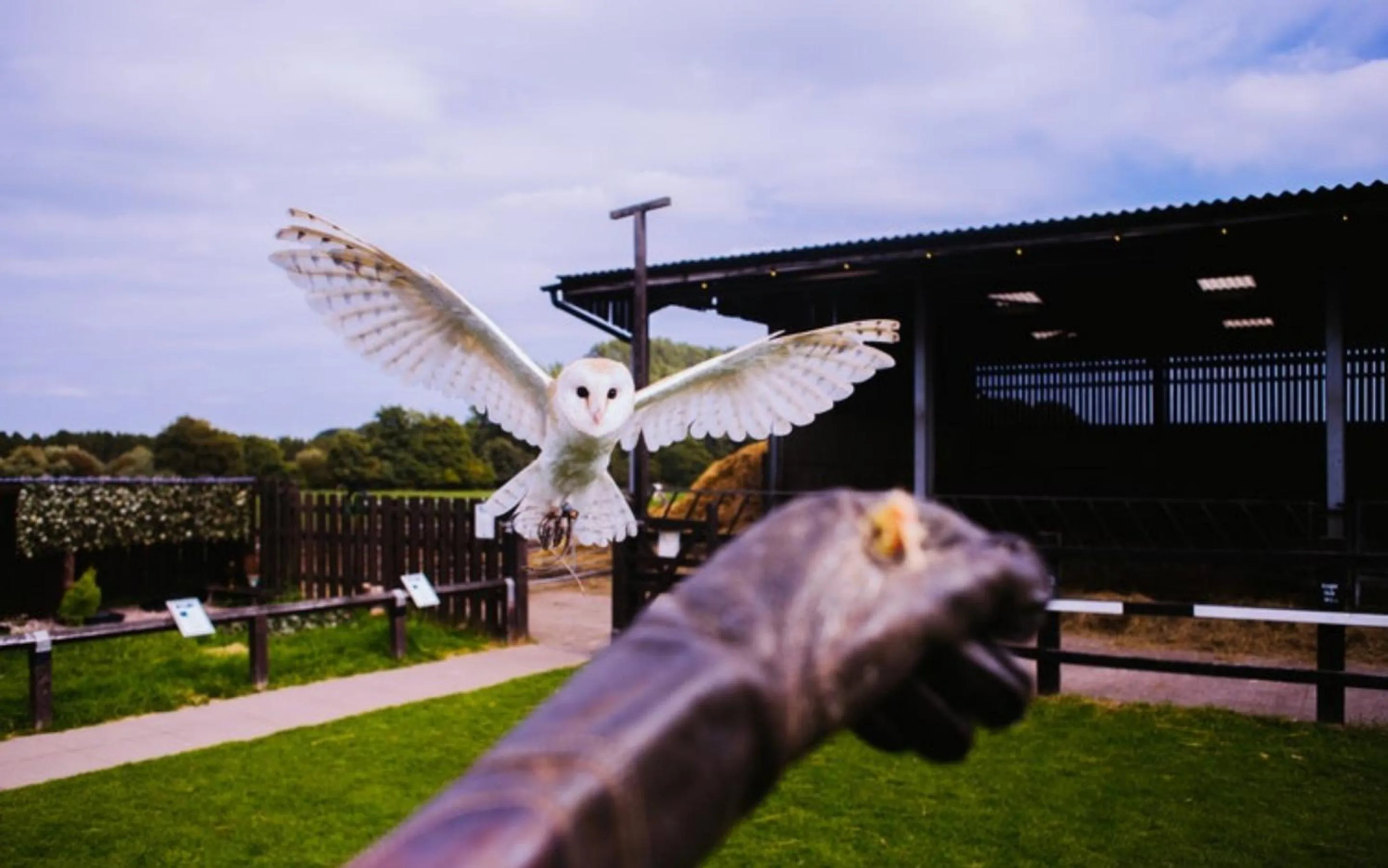 Activities in Doolin Inn