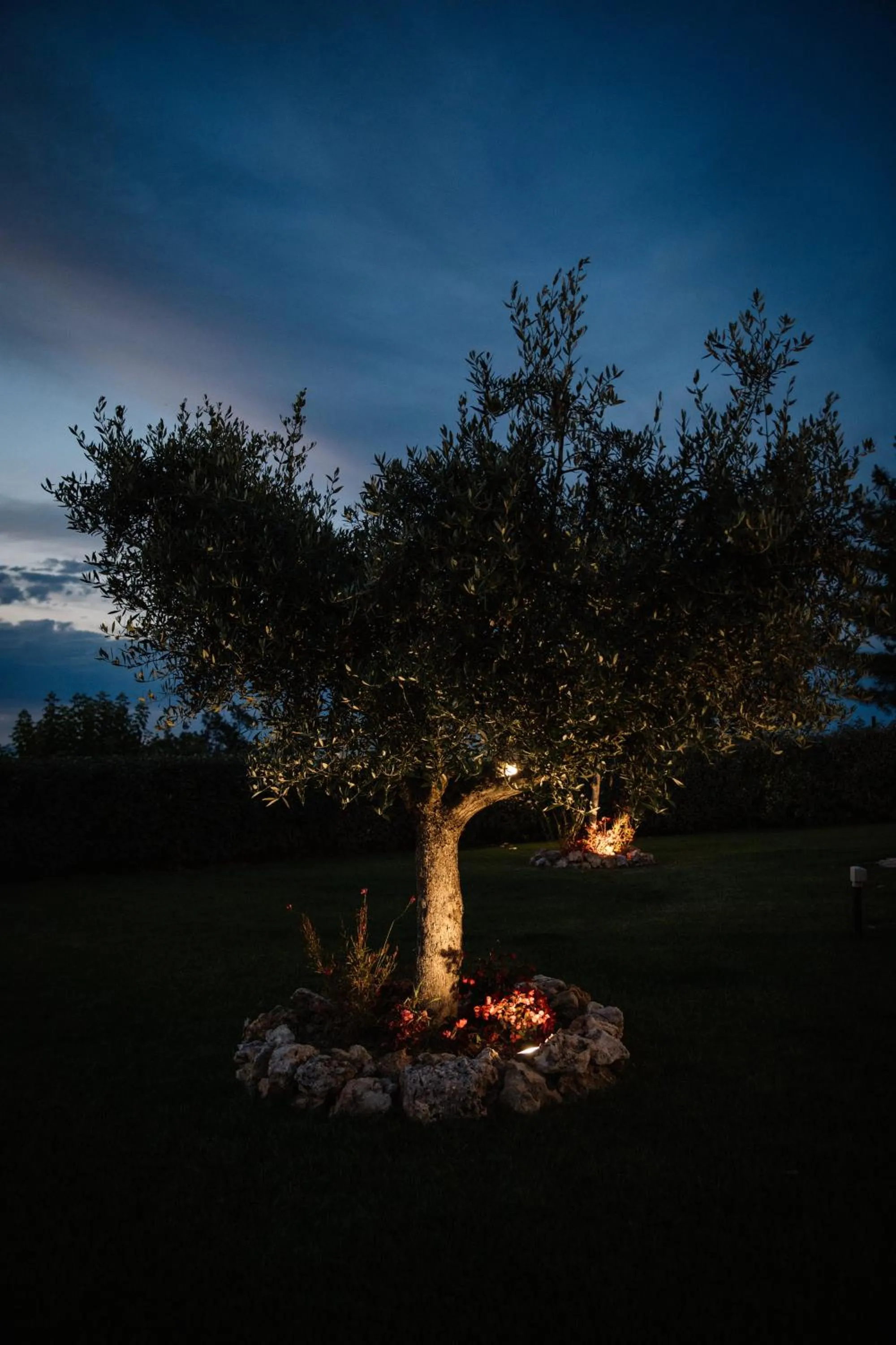 Night in Villa Mascitti B&B Tortoreto Alto