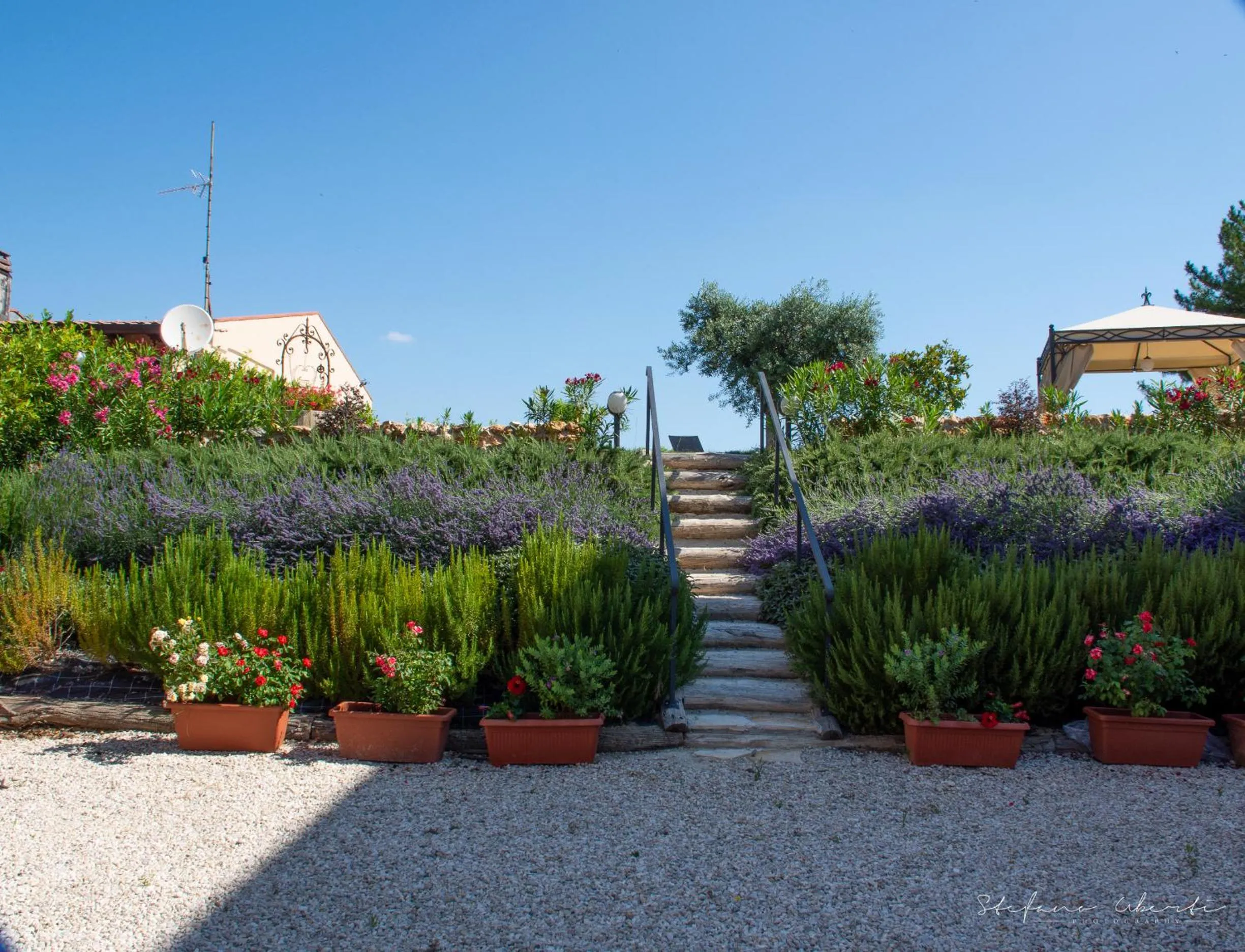 Garden in Villa Mascitti B&B Tortoreto Alto