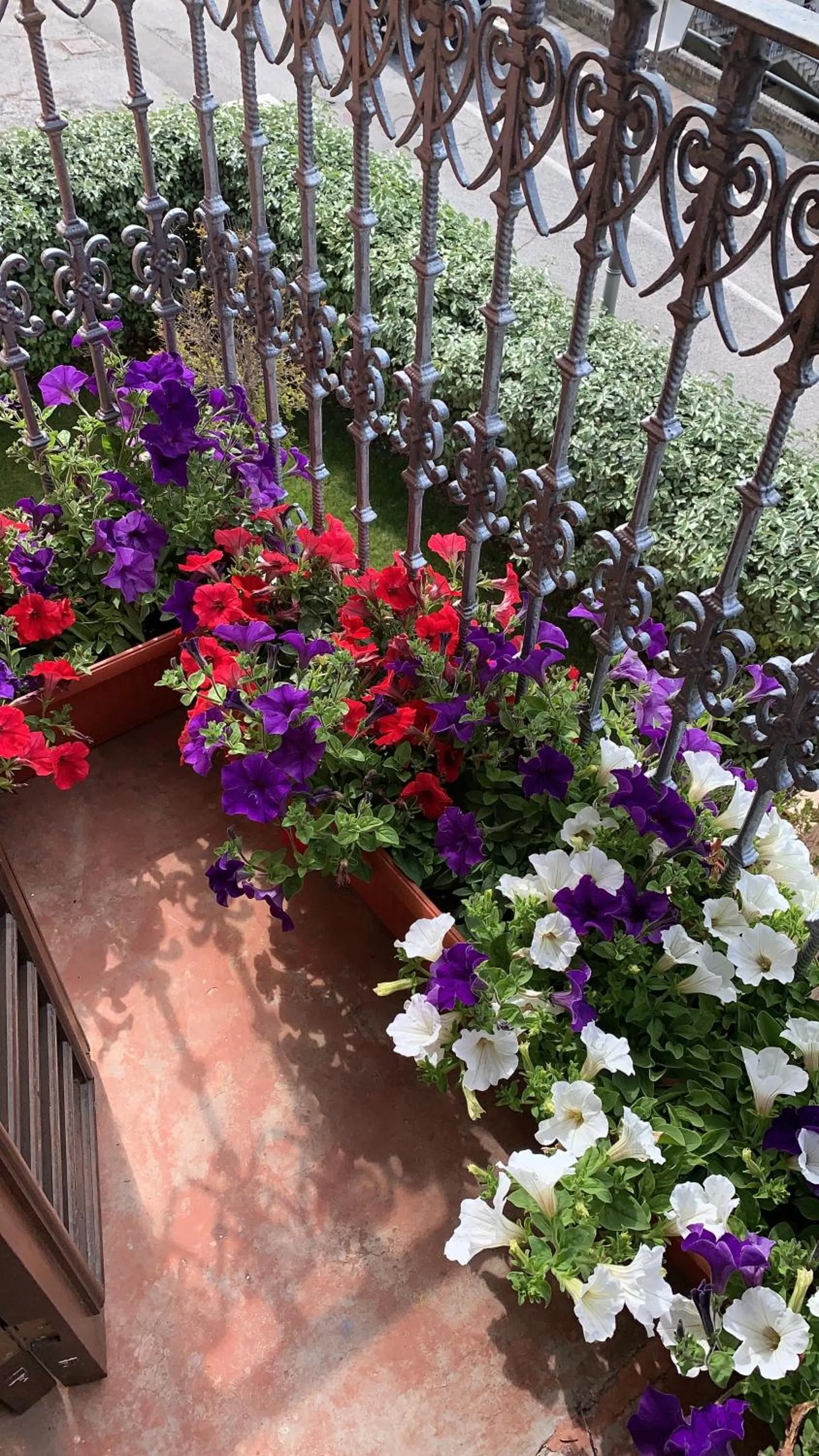 Balcony/Terrace in Villa Mascitti B&B Tortoreto Alto