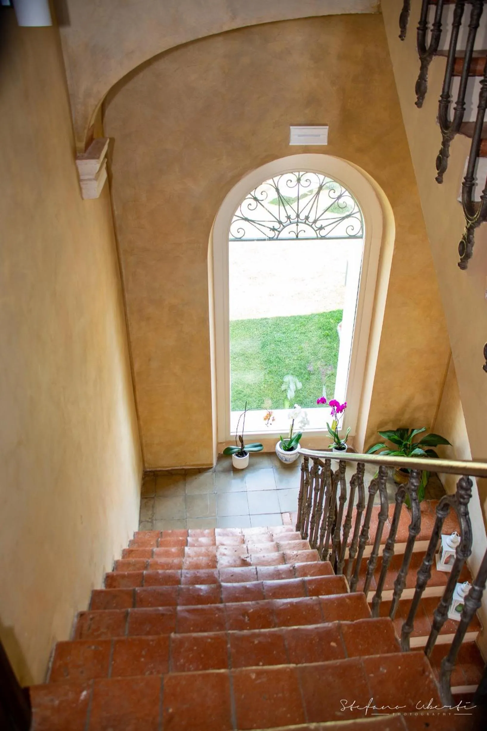 Area and facilities in Villa Mascitti B&B Tortoreto Alto