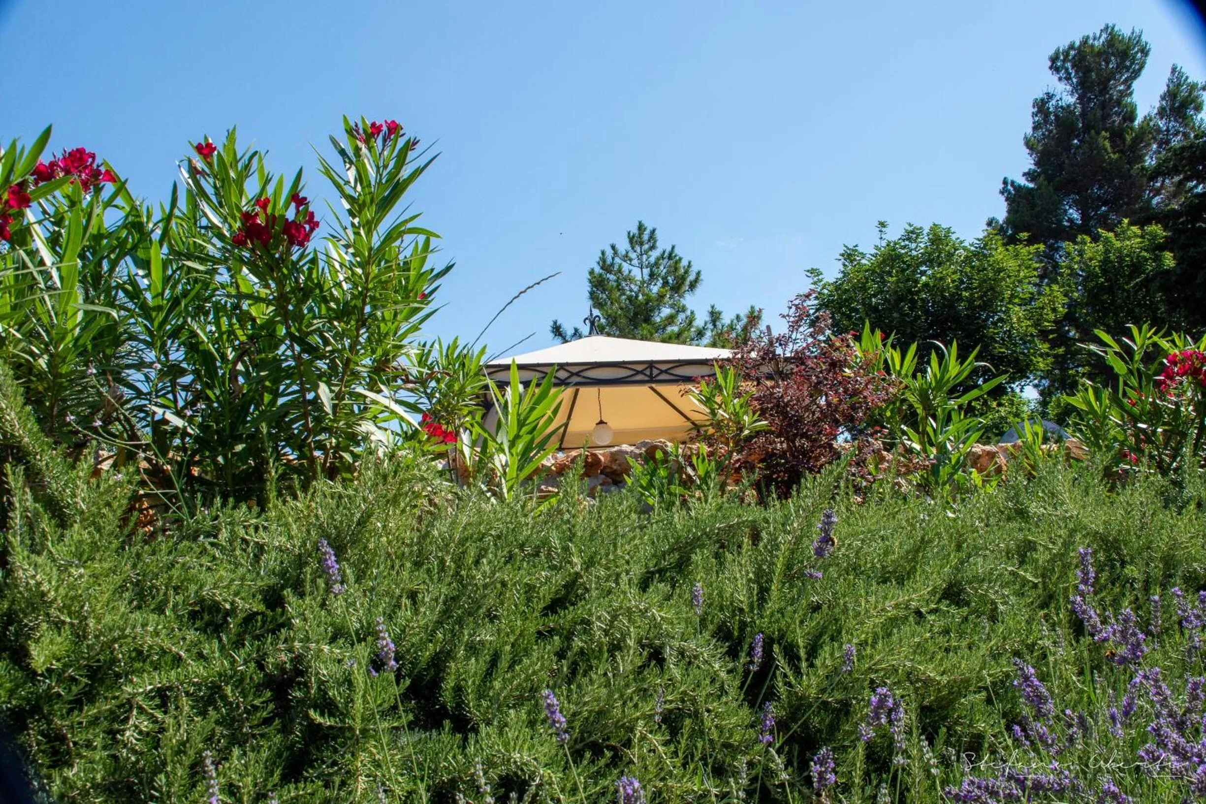 Property building in Villa Mascitti B&B Tortoreto Alto