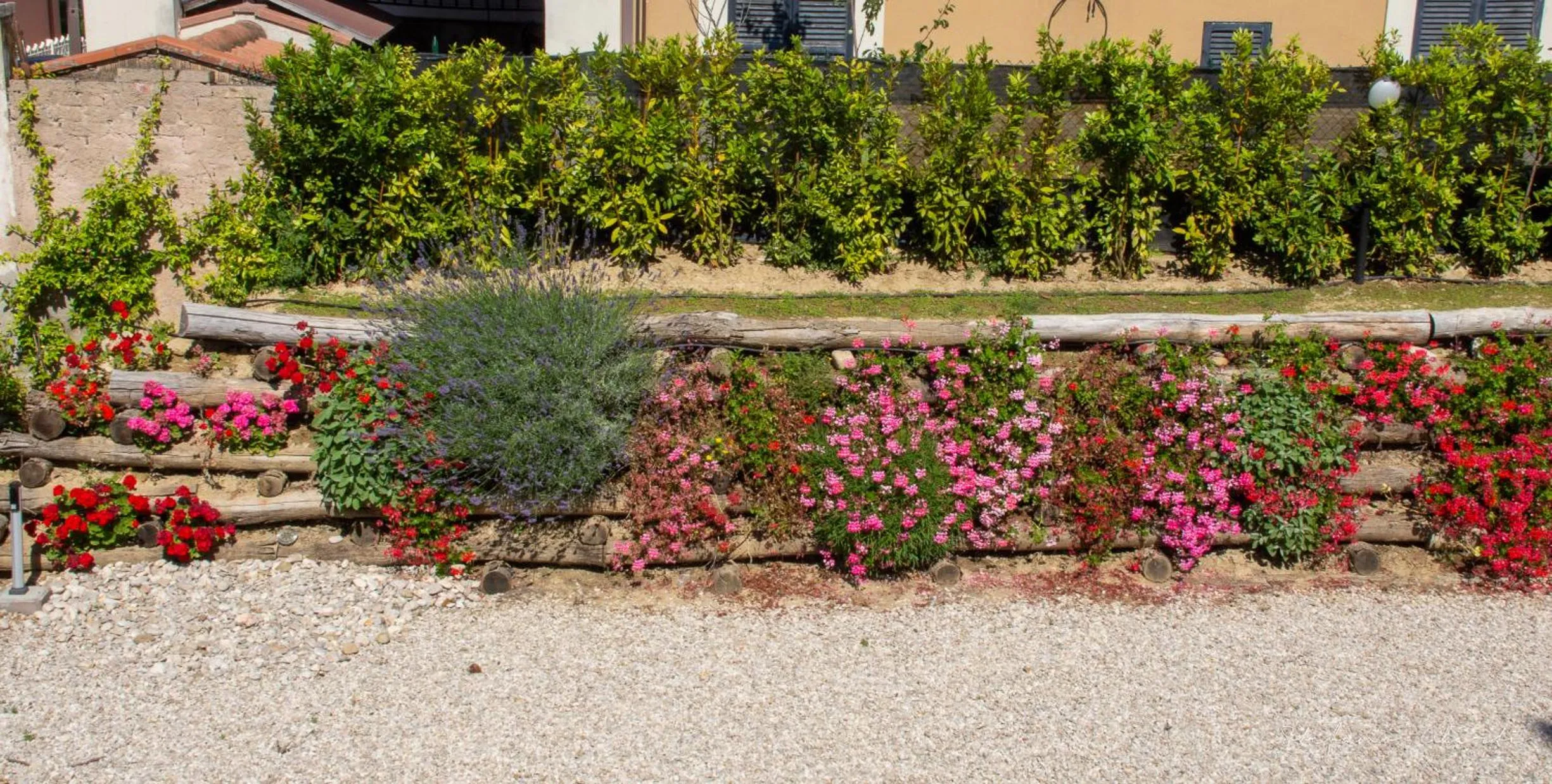 Garden in Villa Mascitti B&B Tortoreto Alto