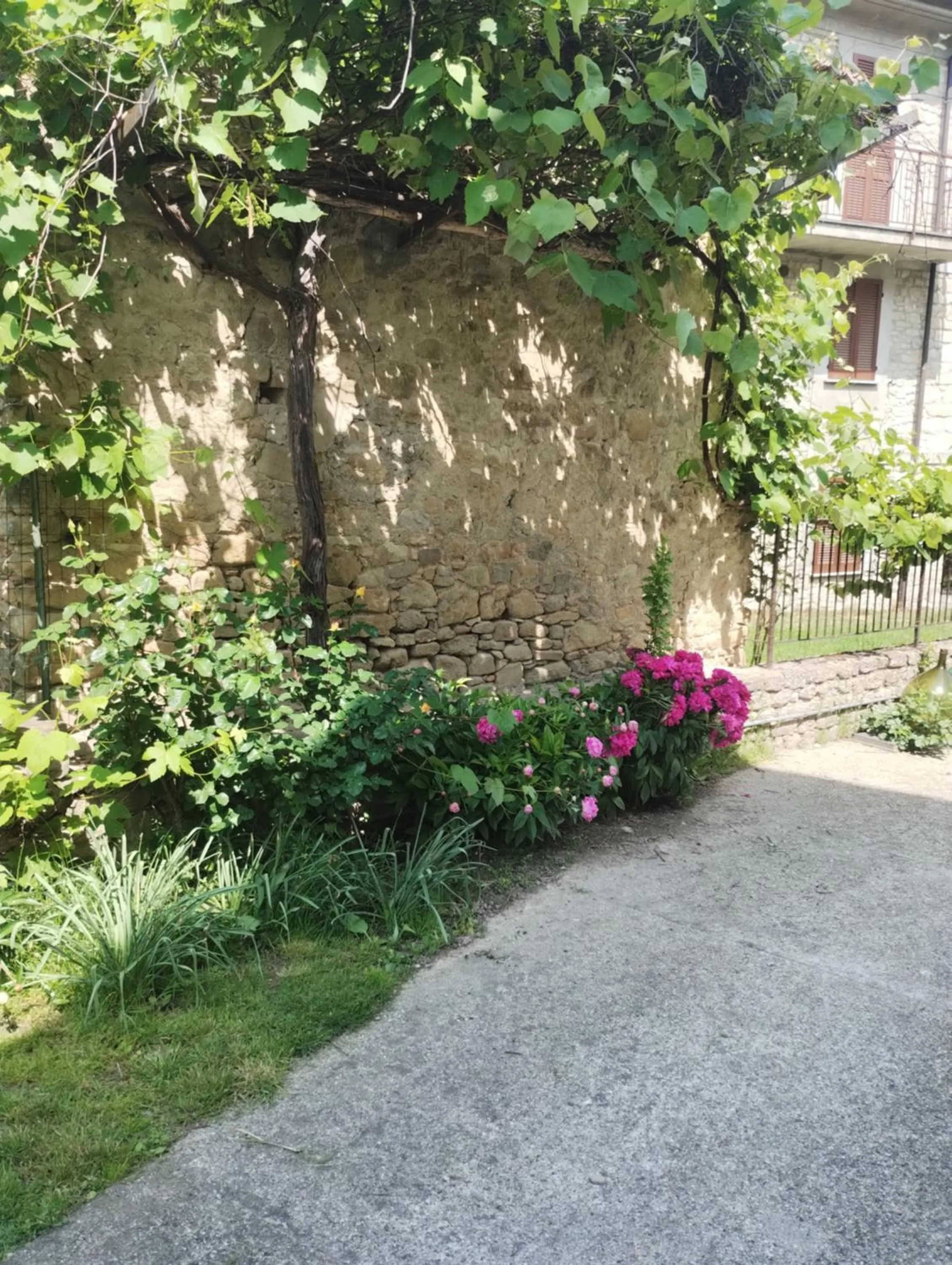 Garden in La Pomella