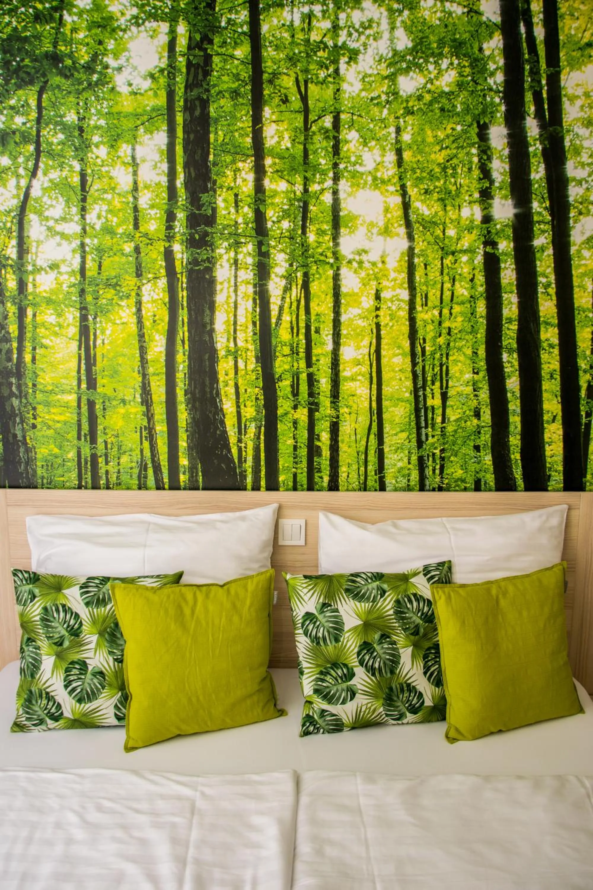 Deluxe Double Room - single occupancy in Erzsébet Hotel