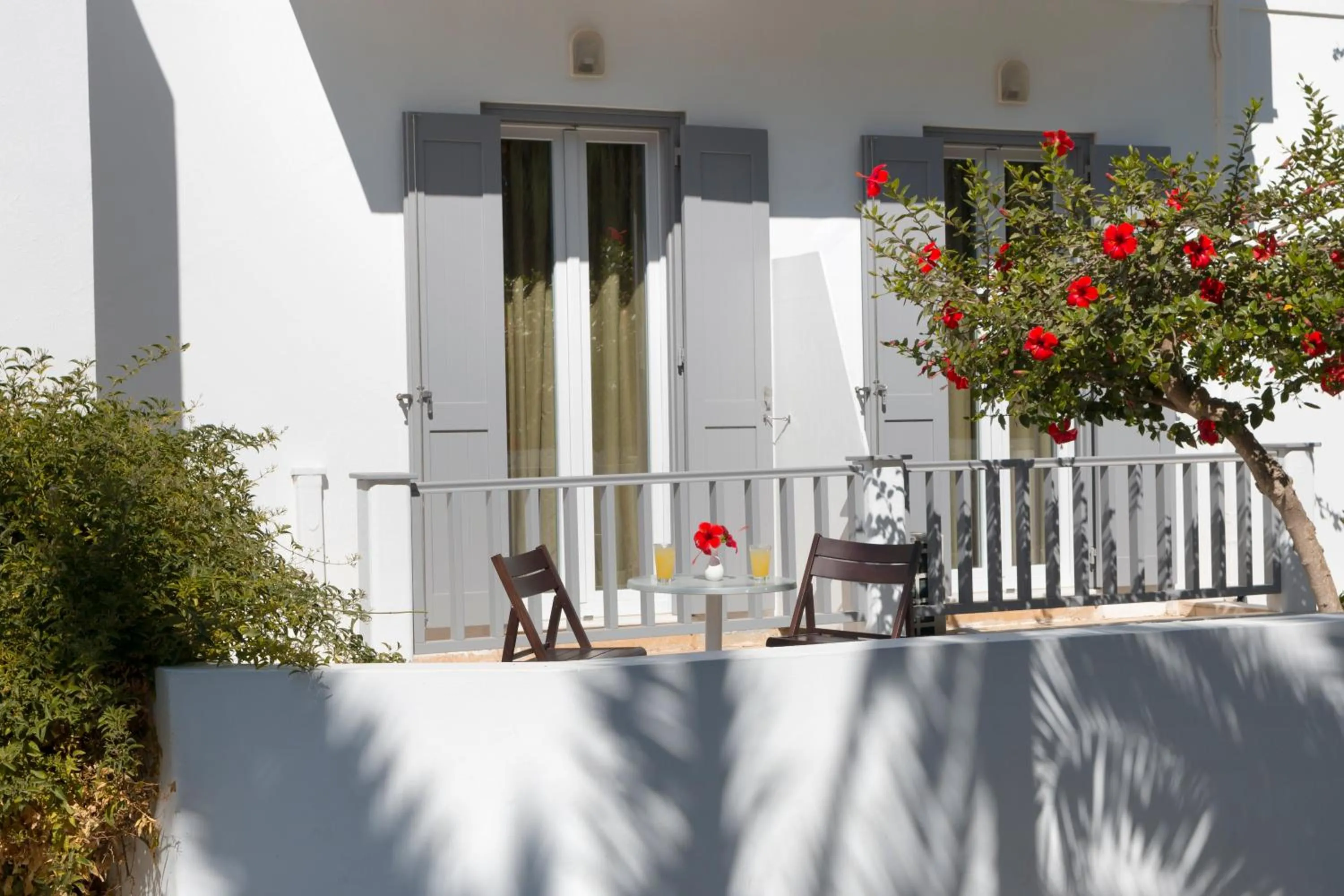 Garden view in Francoise Hotel