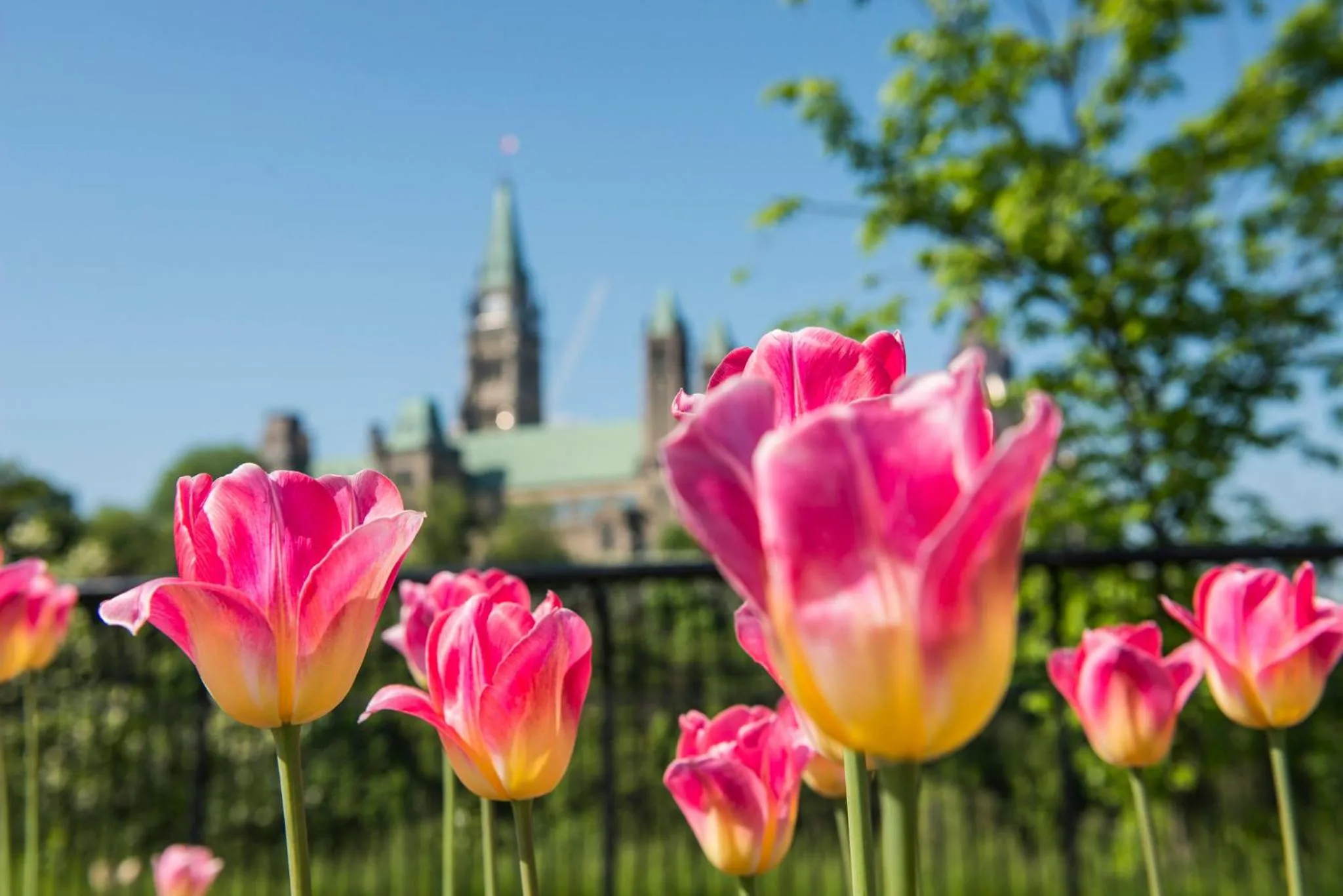 Nearby landmark in Holiday Inn & Suites Ottawa Kanata by IHG