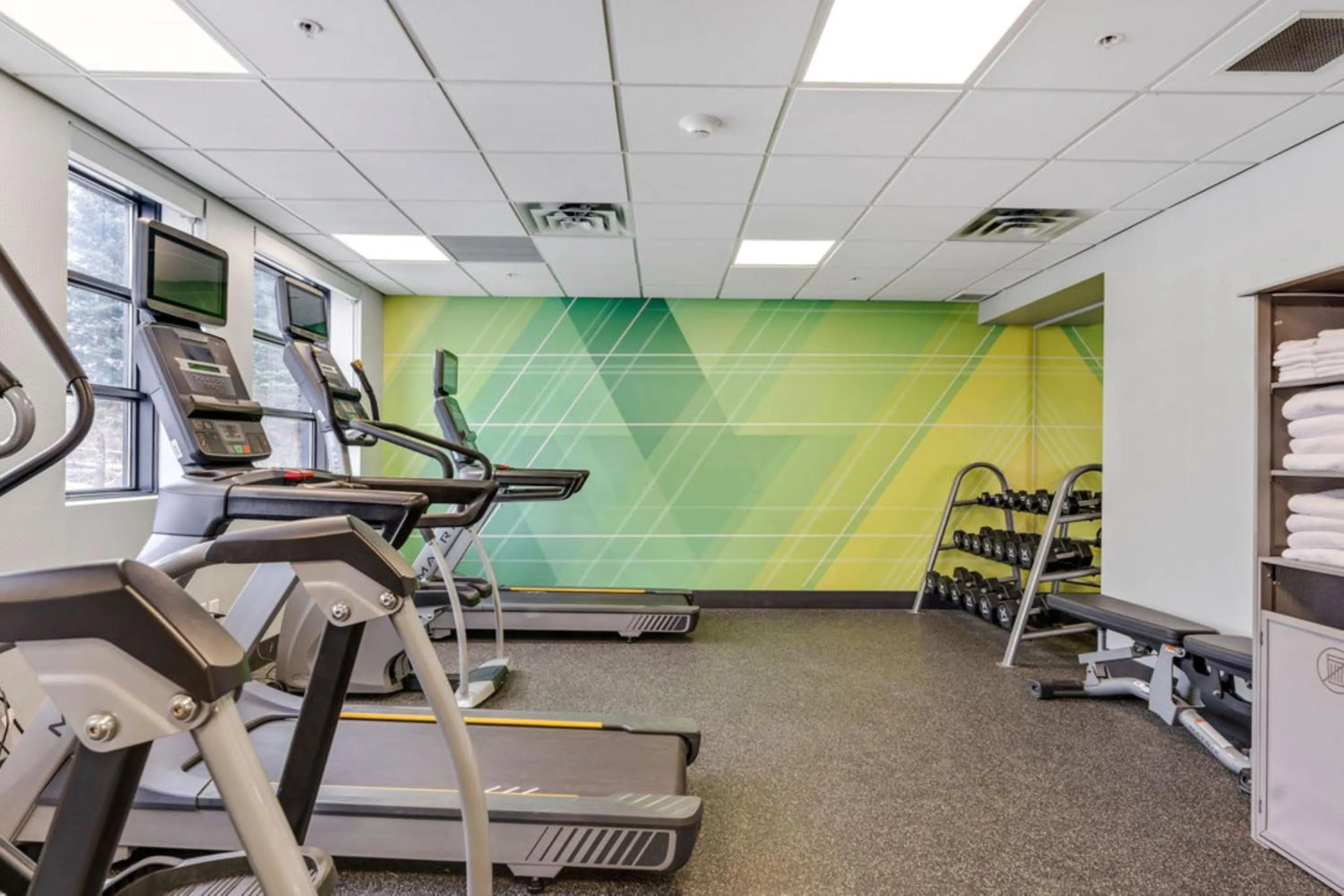 Fitness centre/facilities in Holiday Inn & Suites Ottawa Kanata by IHG