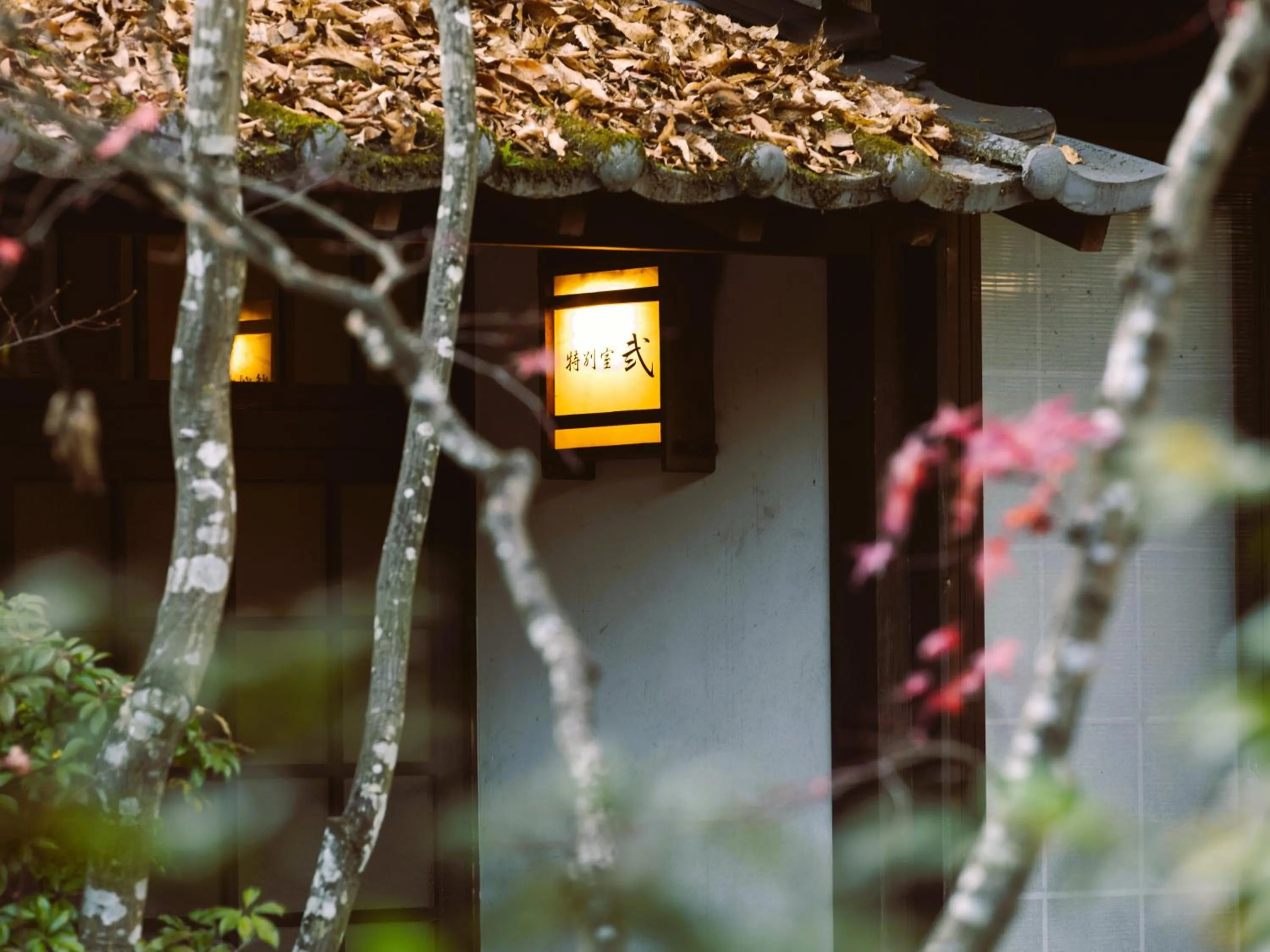 Property building in Hotaru no Yado Sendou