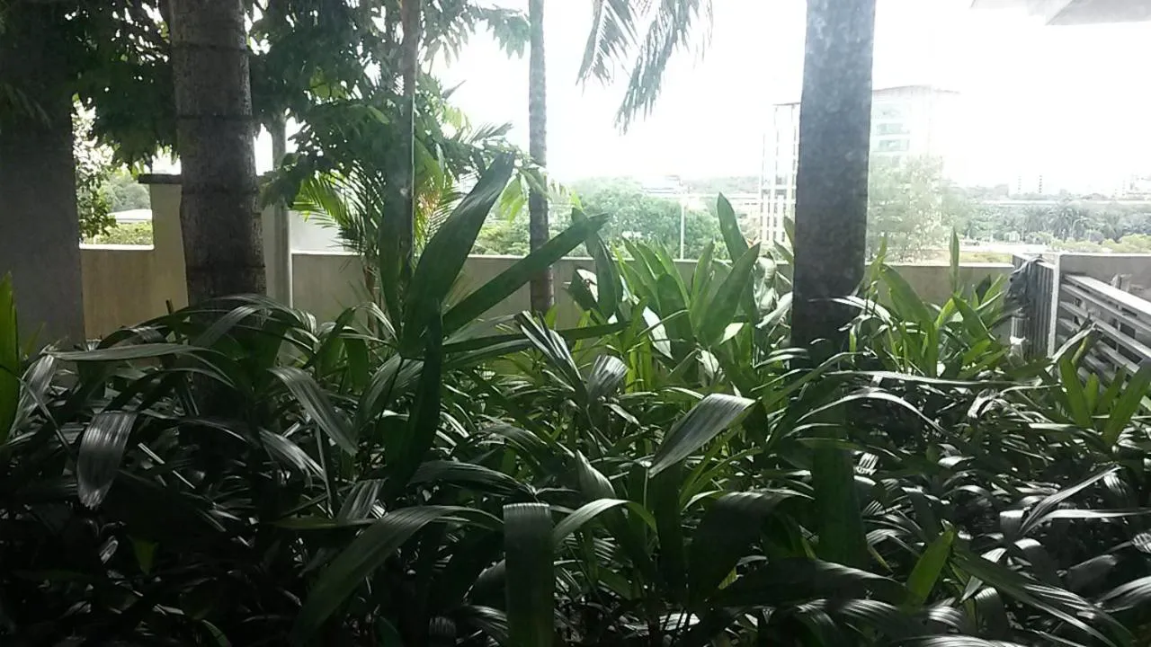 Garden Apartment at Zenith