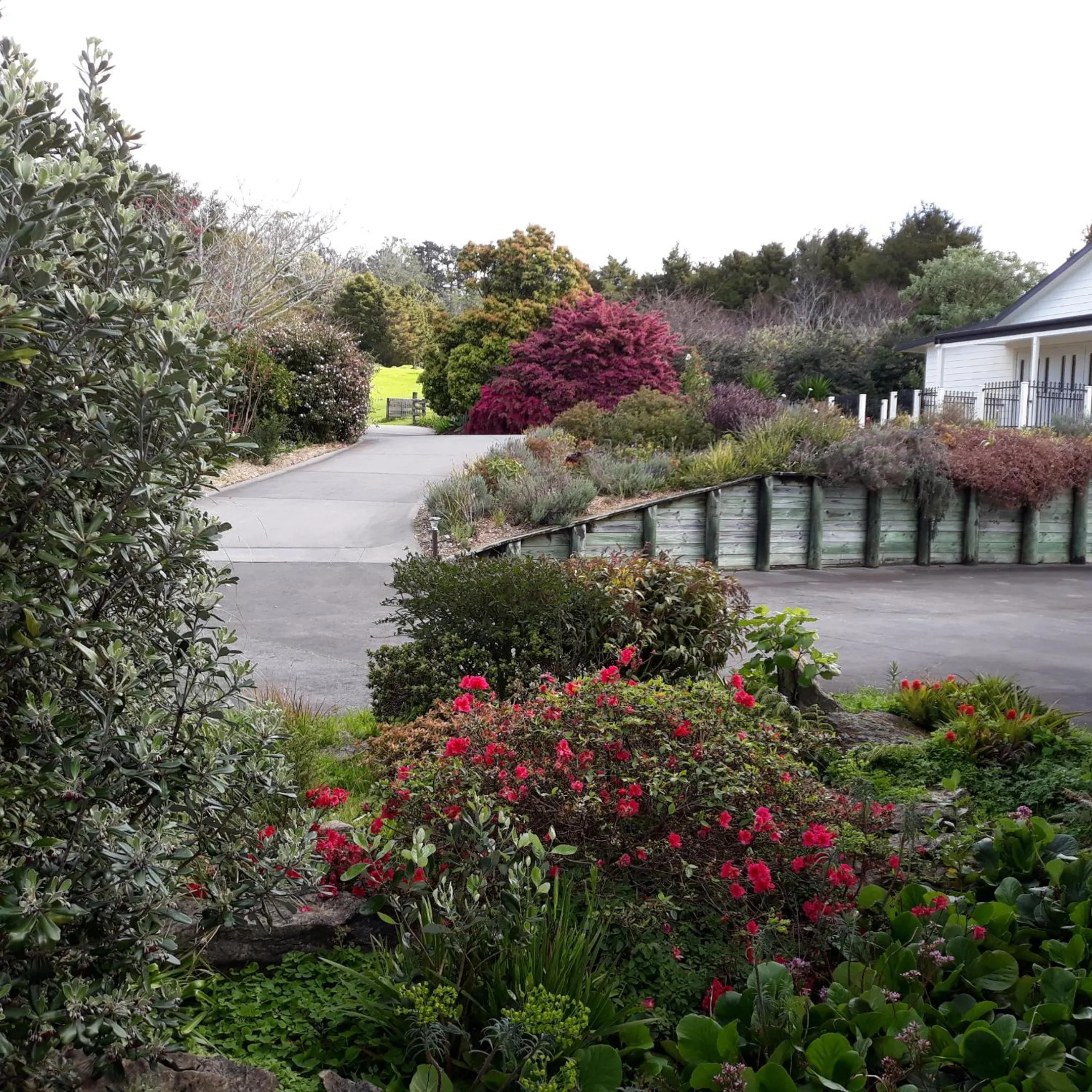 Garden view in Hyecroft Lodge