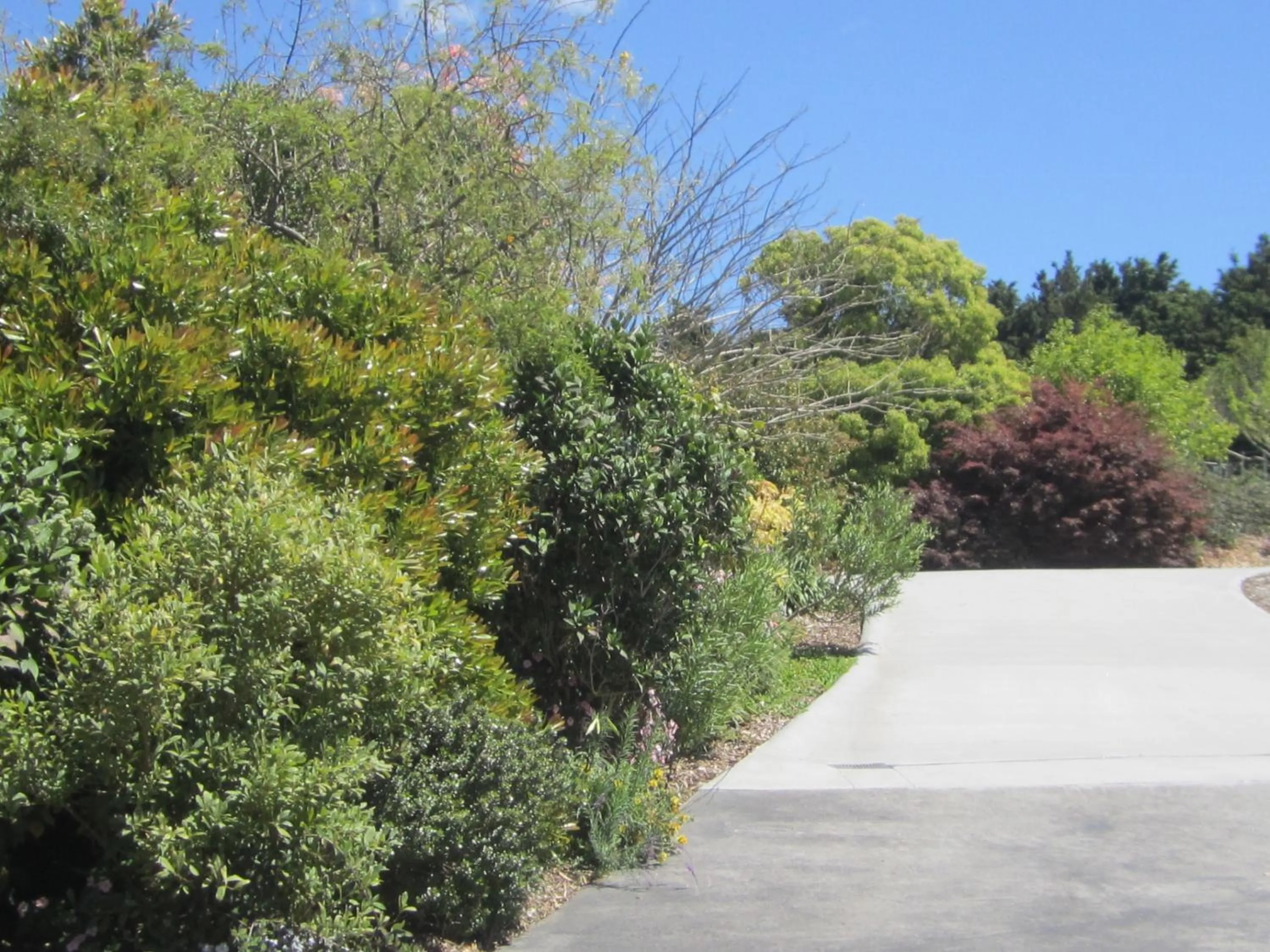 Garden in Hyecroft Lodge