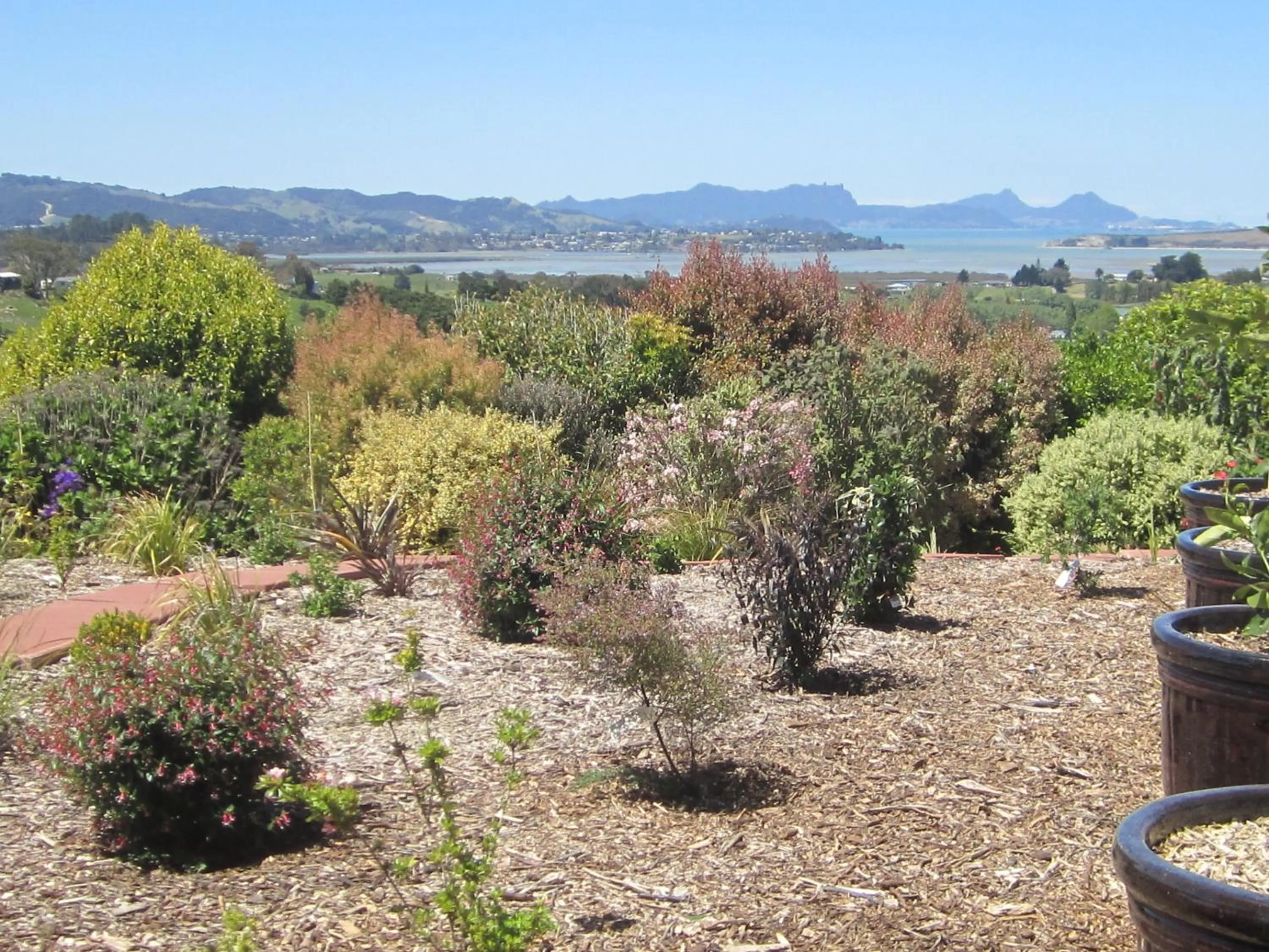 Garden in Hyecroft Lodge