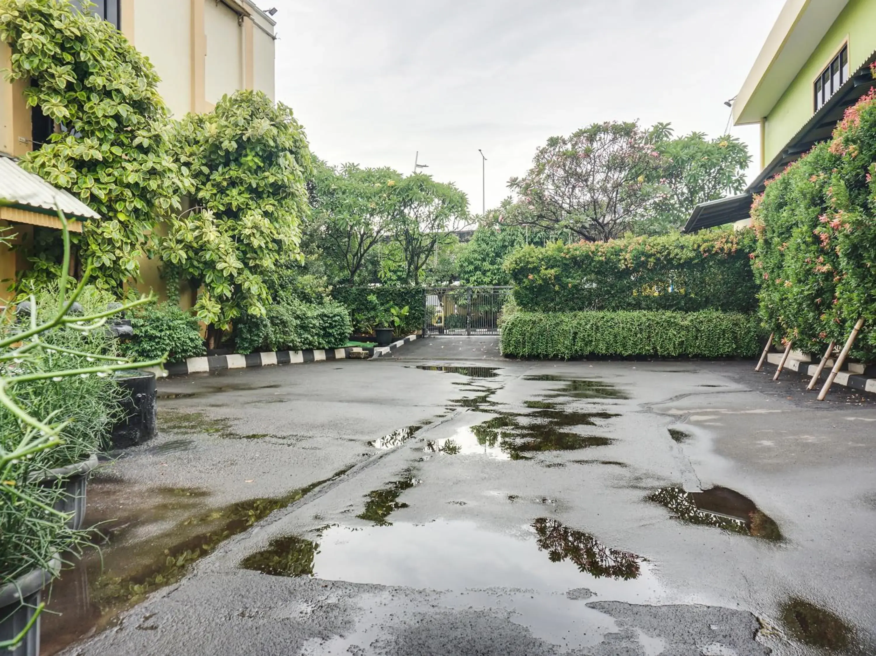 Garden in BI Executive Hotel