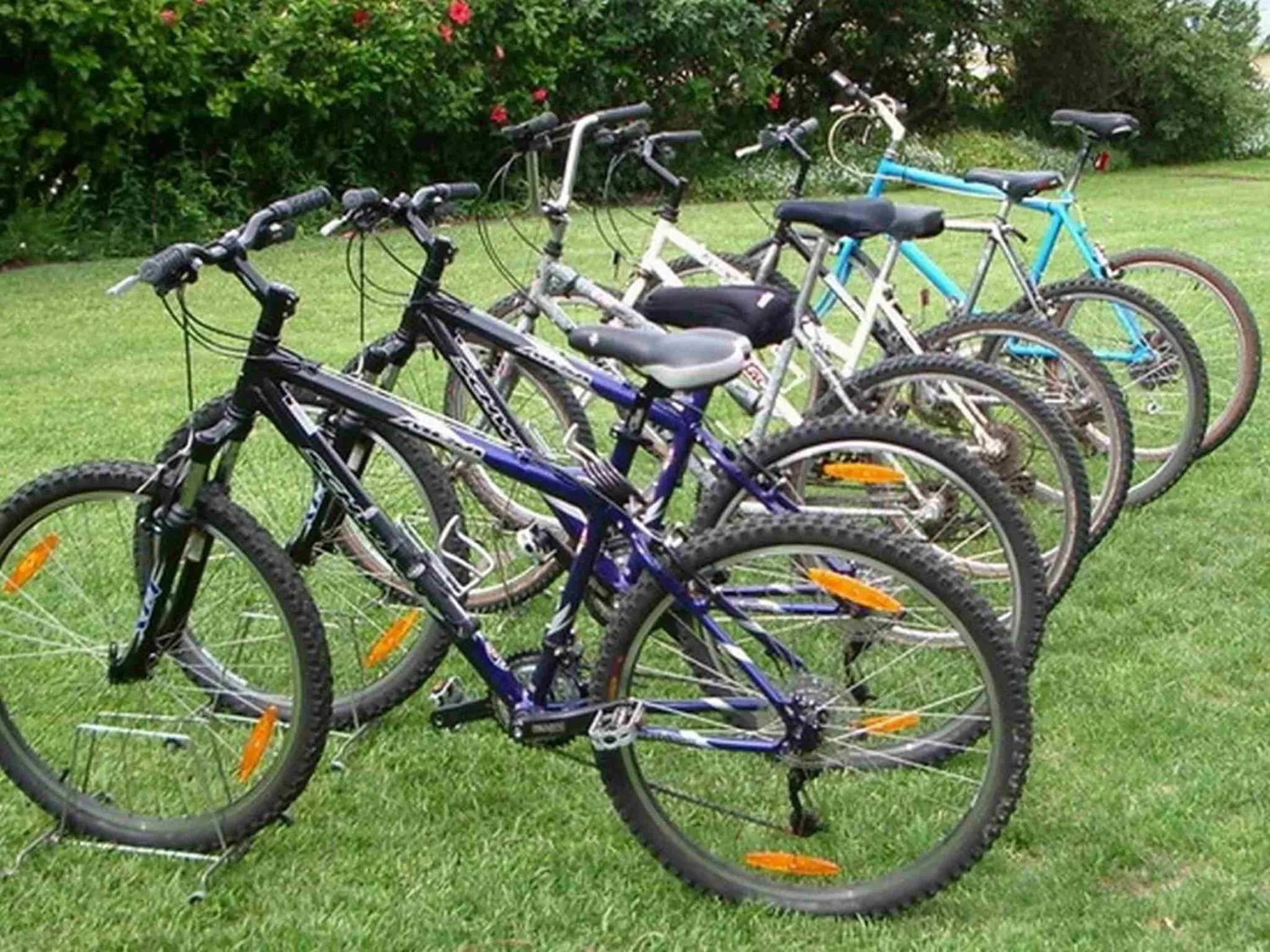 Day in The Knysna Belle Guest House