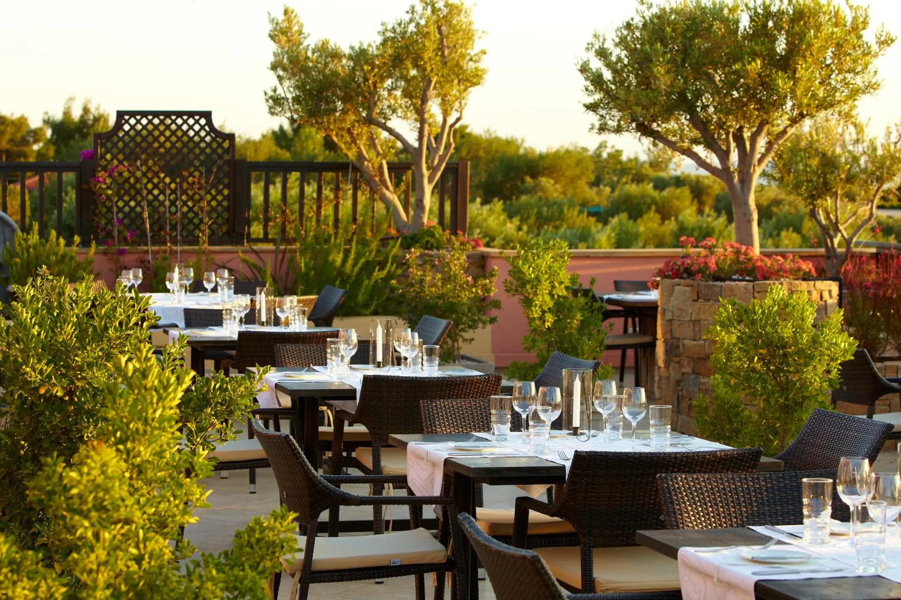 Restaurant/places to eat in Anthemus Sea Beach Hotel and Spa Restaurant/places to eat in Anthemus Sea Beach Hotel and Spa