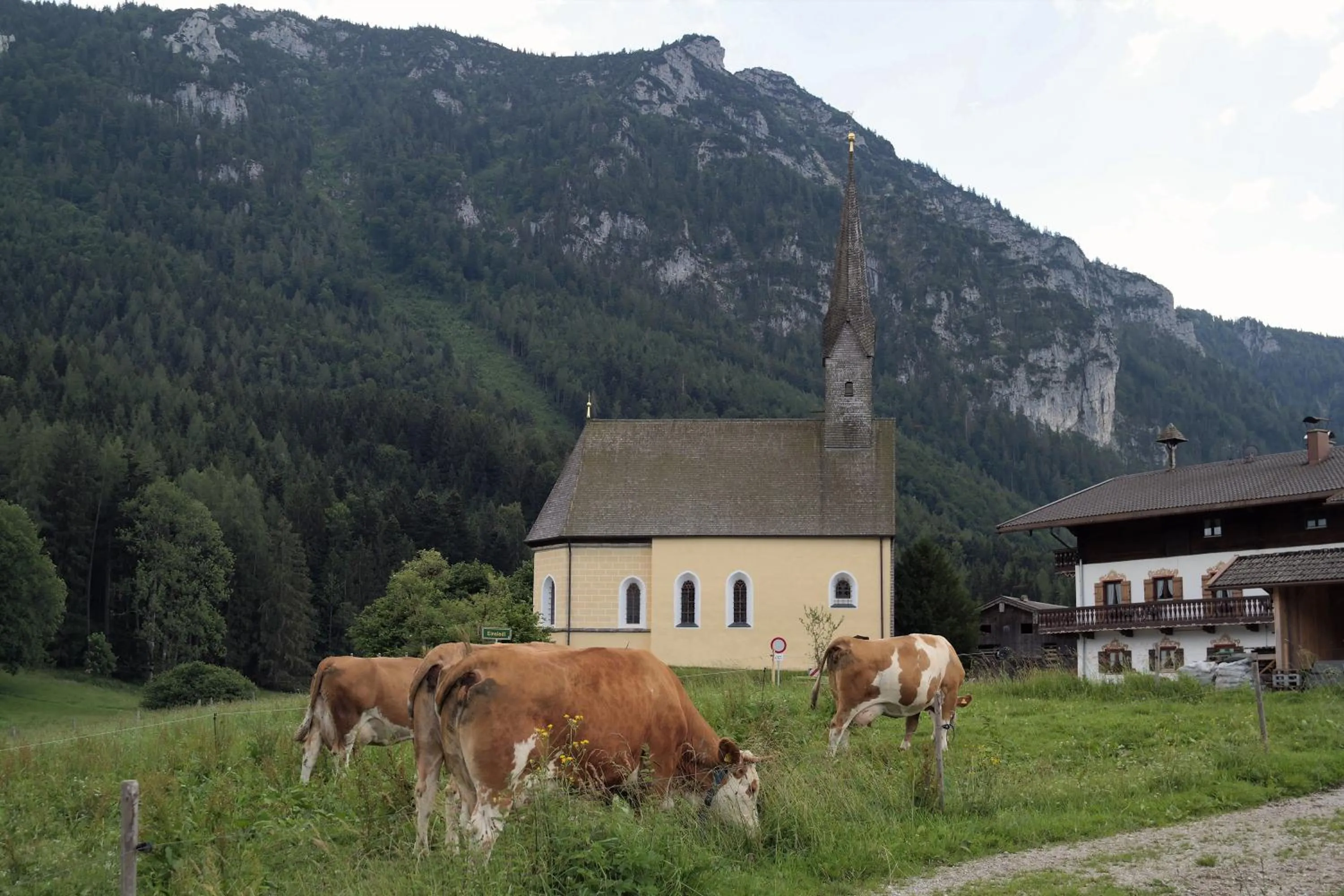 Day in Alpenhotel Gastager