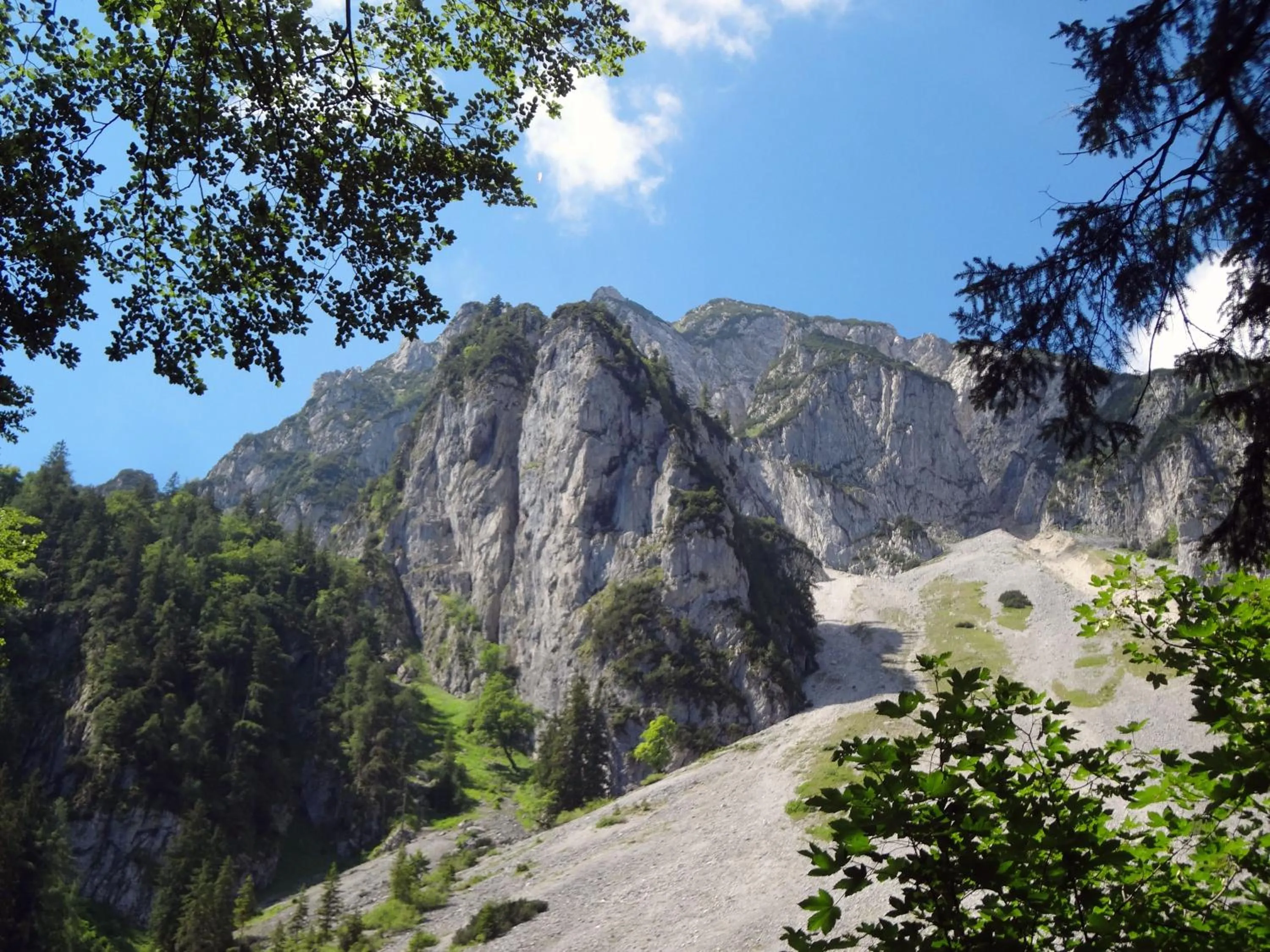 Neighbourhood in Alpenhotel Gastager