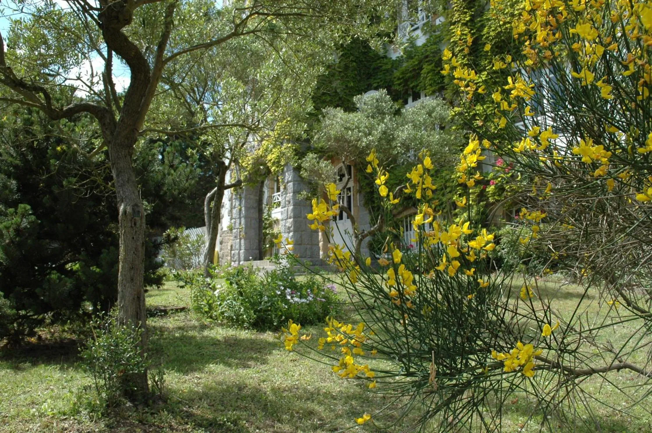 Garden in Hôtel Des Deux Mers