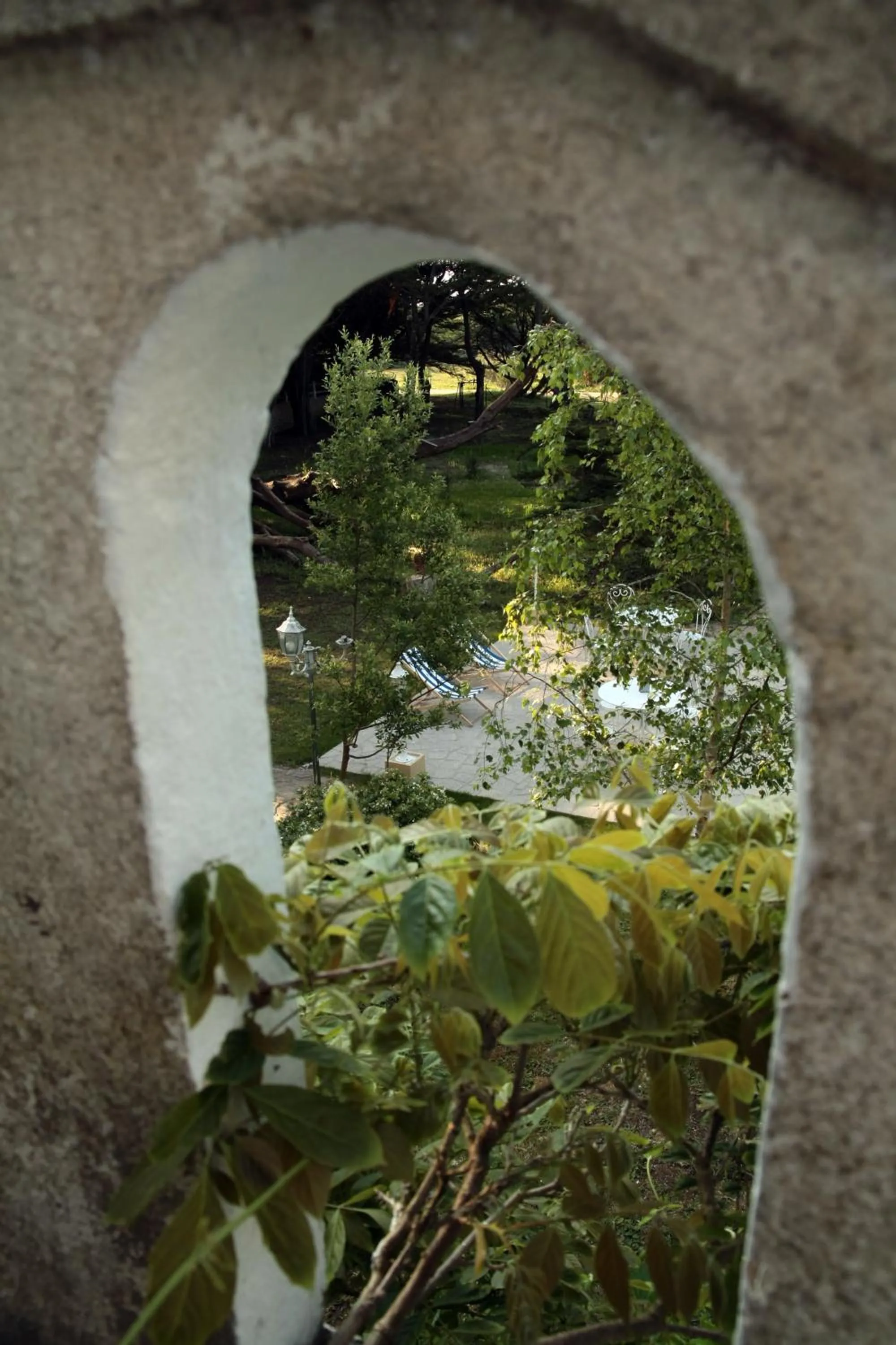 Garden in Hôtel Des Deux Mers