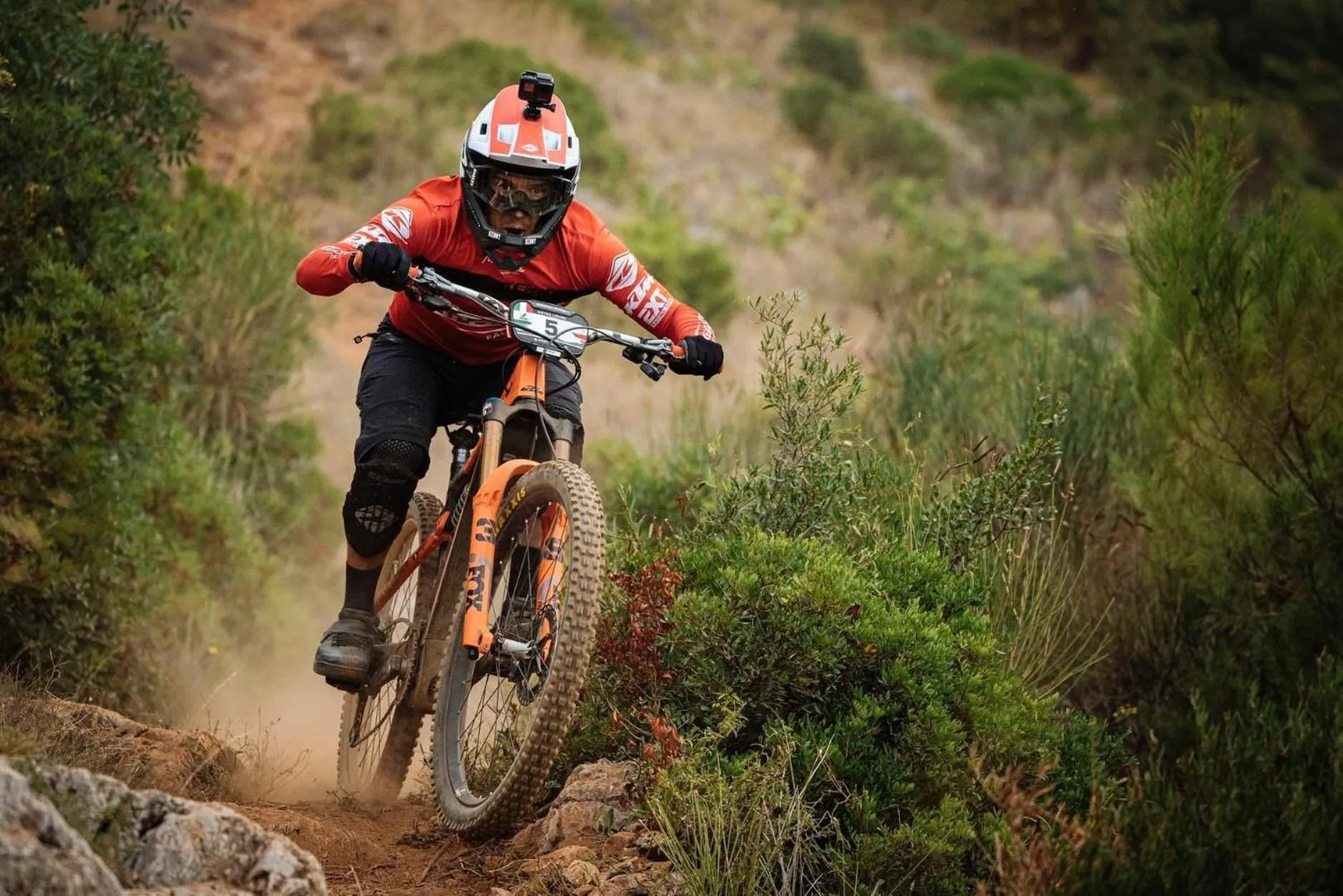 Cycling in Residence Holidays