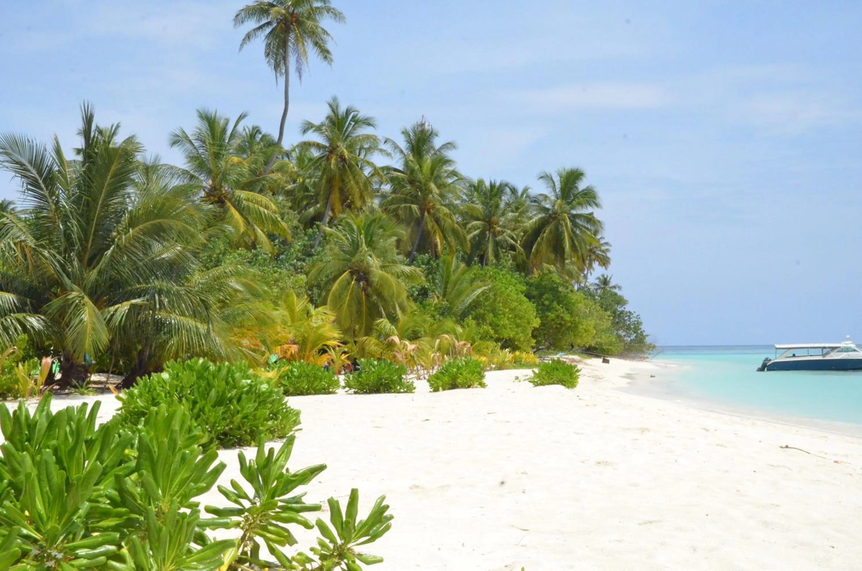 Beach in Island Break