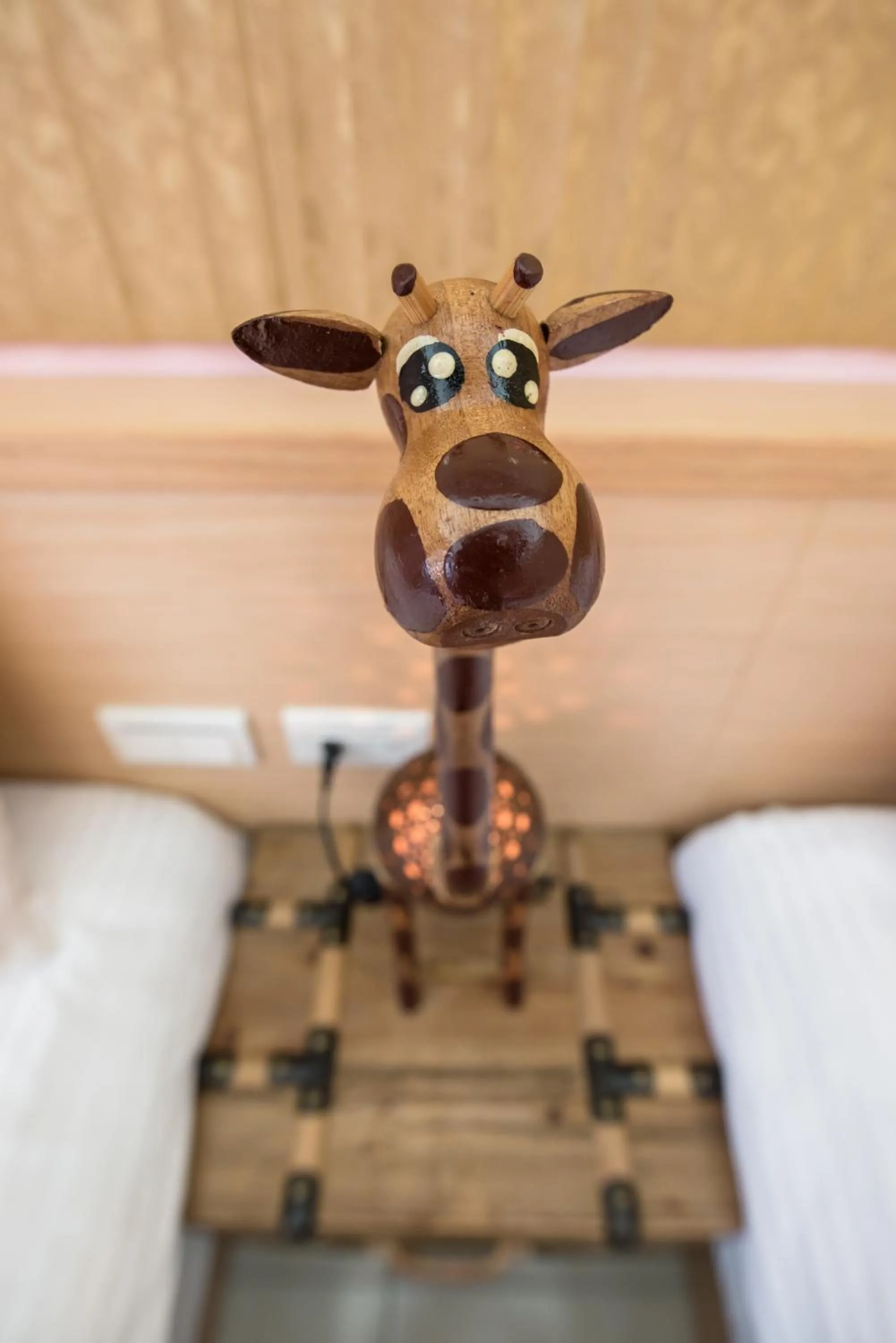 Catt Leya B&B Hotel
