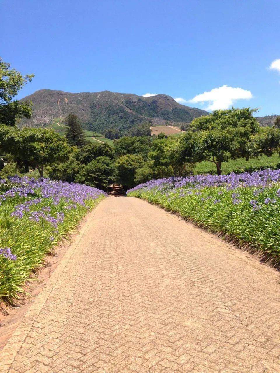 Nearby landmark in A Smart Stay Apartments