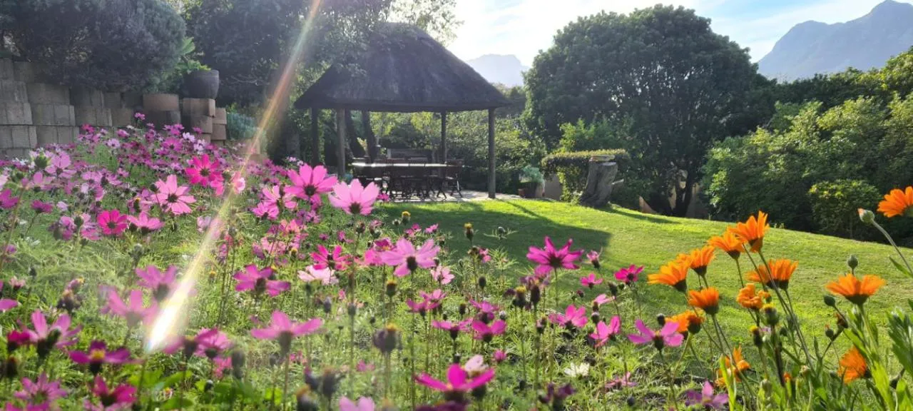 BBQ facilities in The Salt House Guest House in Hout Bay