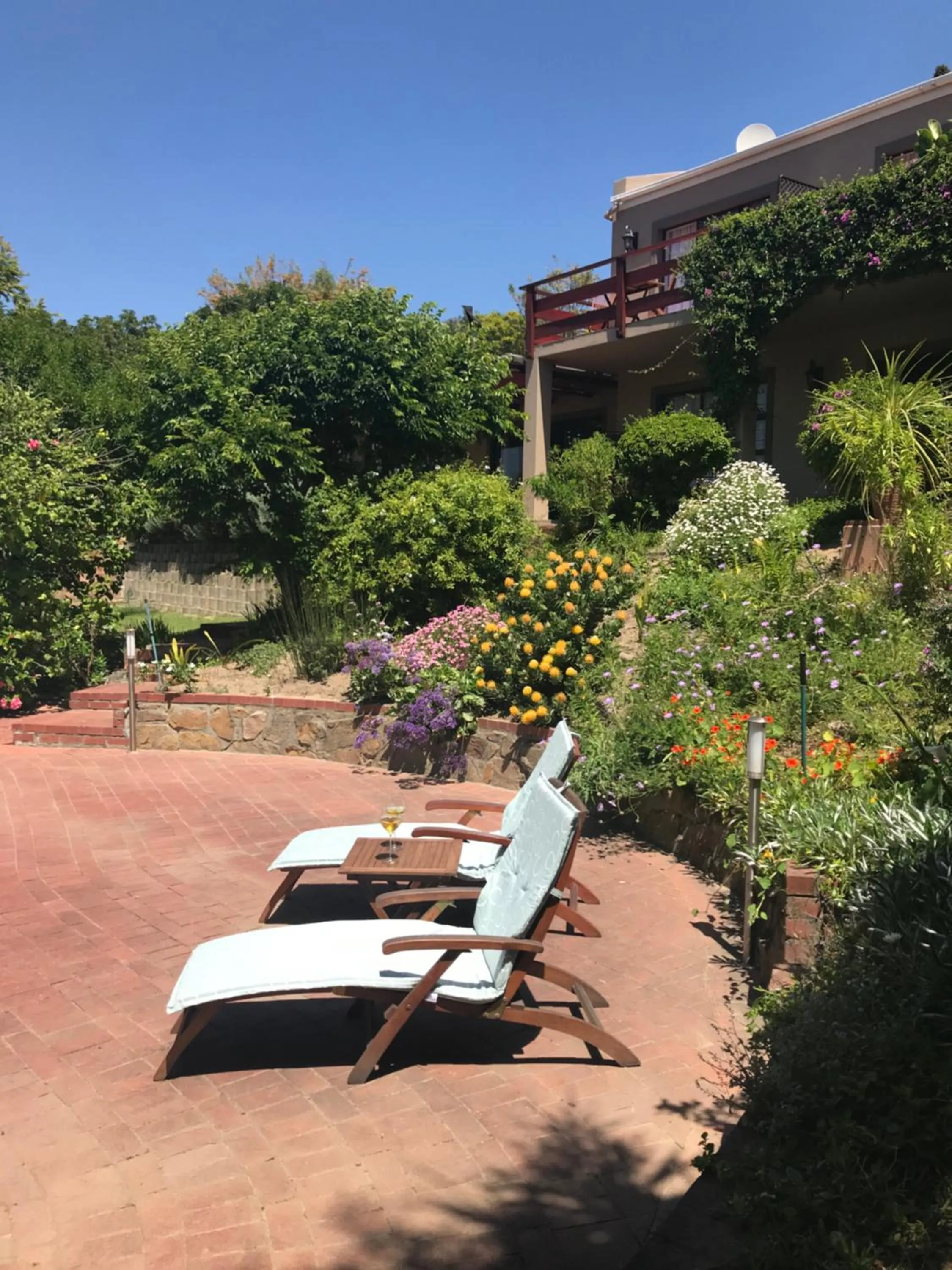 Garden view in The Salt House Guest House in Hout Bay