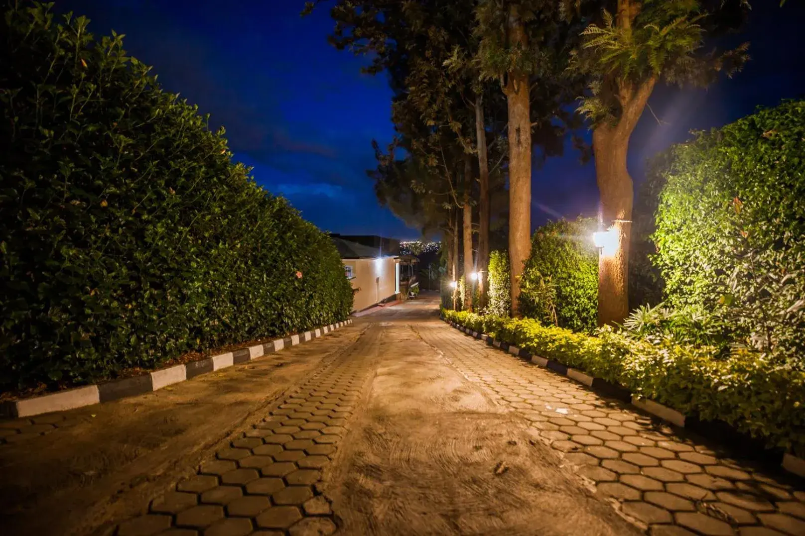 Facade/entrance in Anthurium Residential Hotel Facade/entrance in Anthurium Residential Hotel