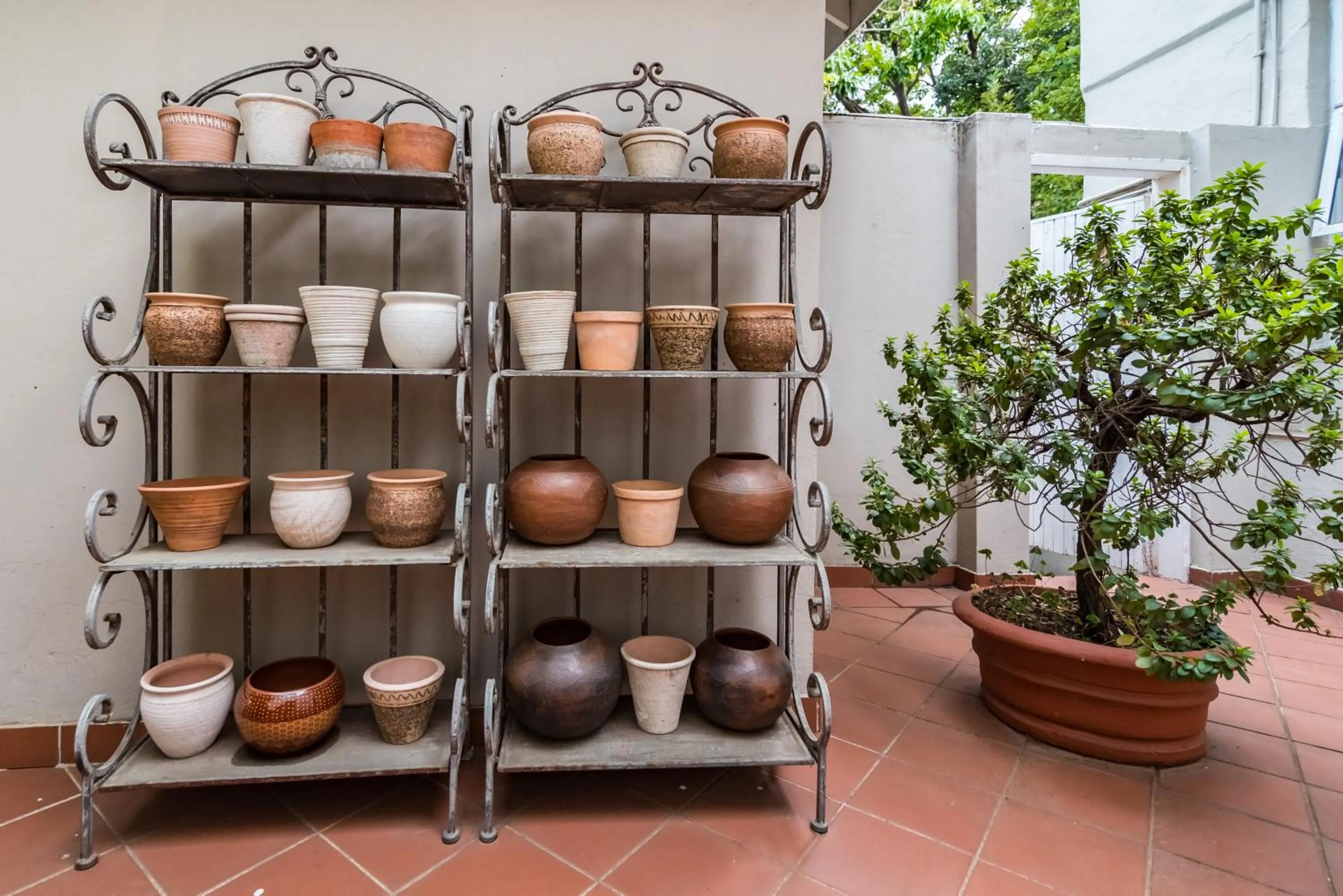 Garden in Melrose Place Boutique Hotel