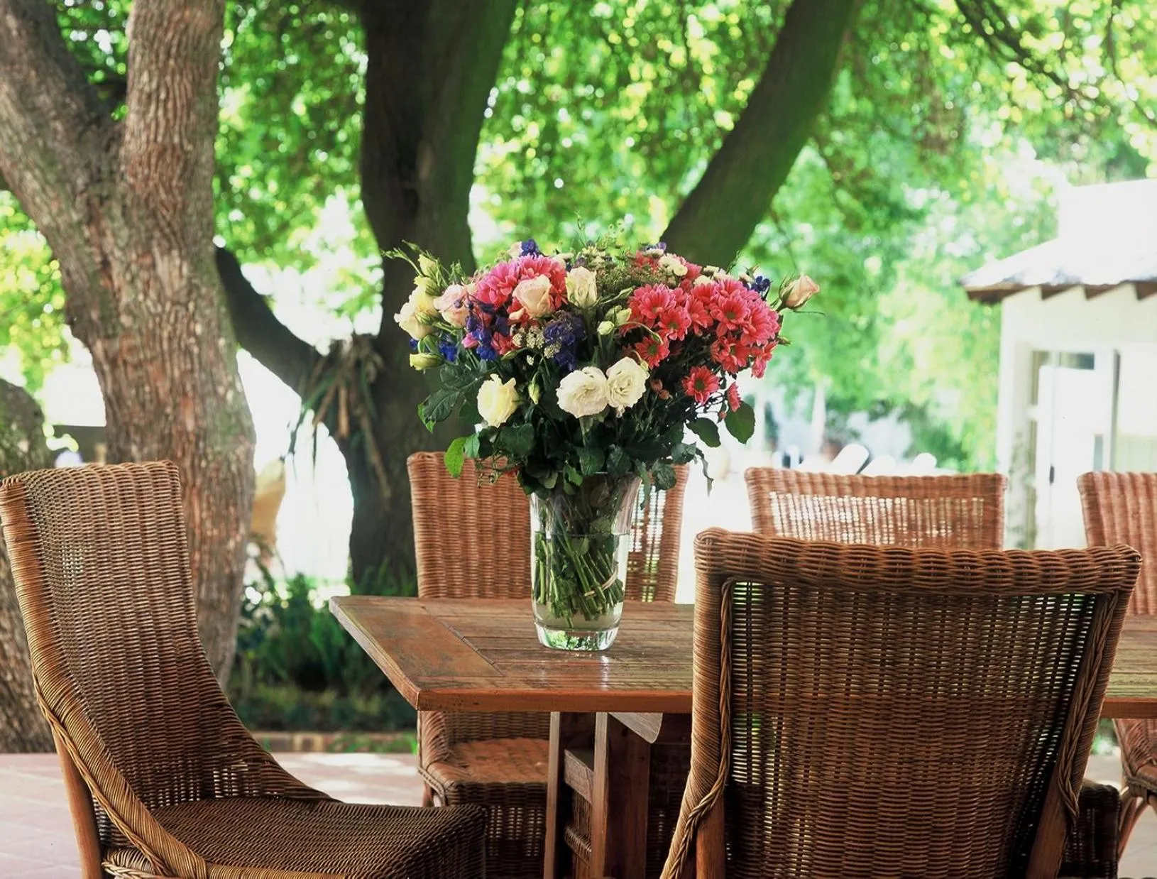 Garden in Melrose Place Boutique Hotel