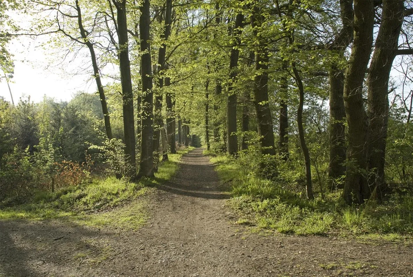 Area and facilities in Panorama Hotel