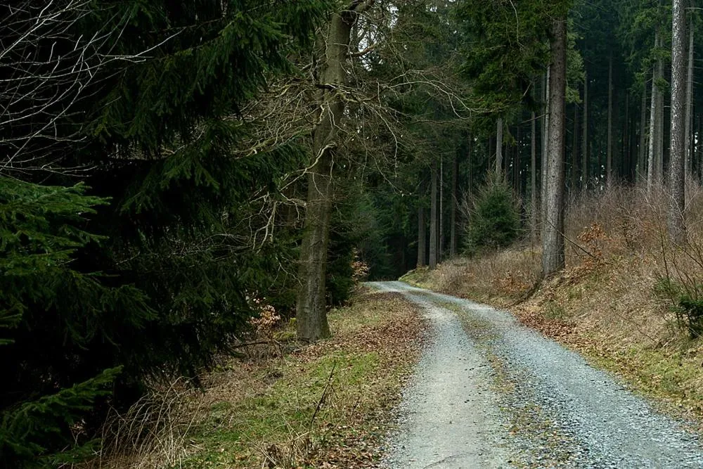 Hiking in Panorama Hotel