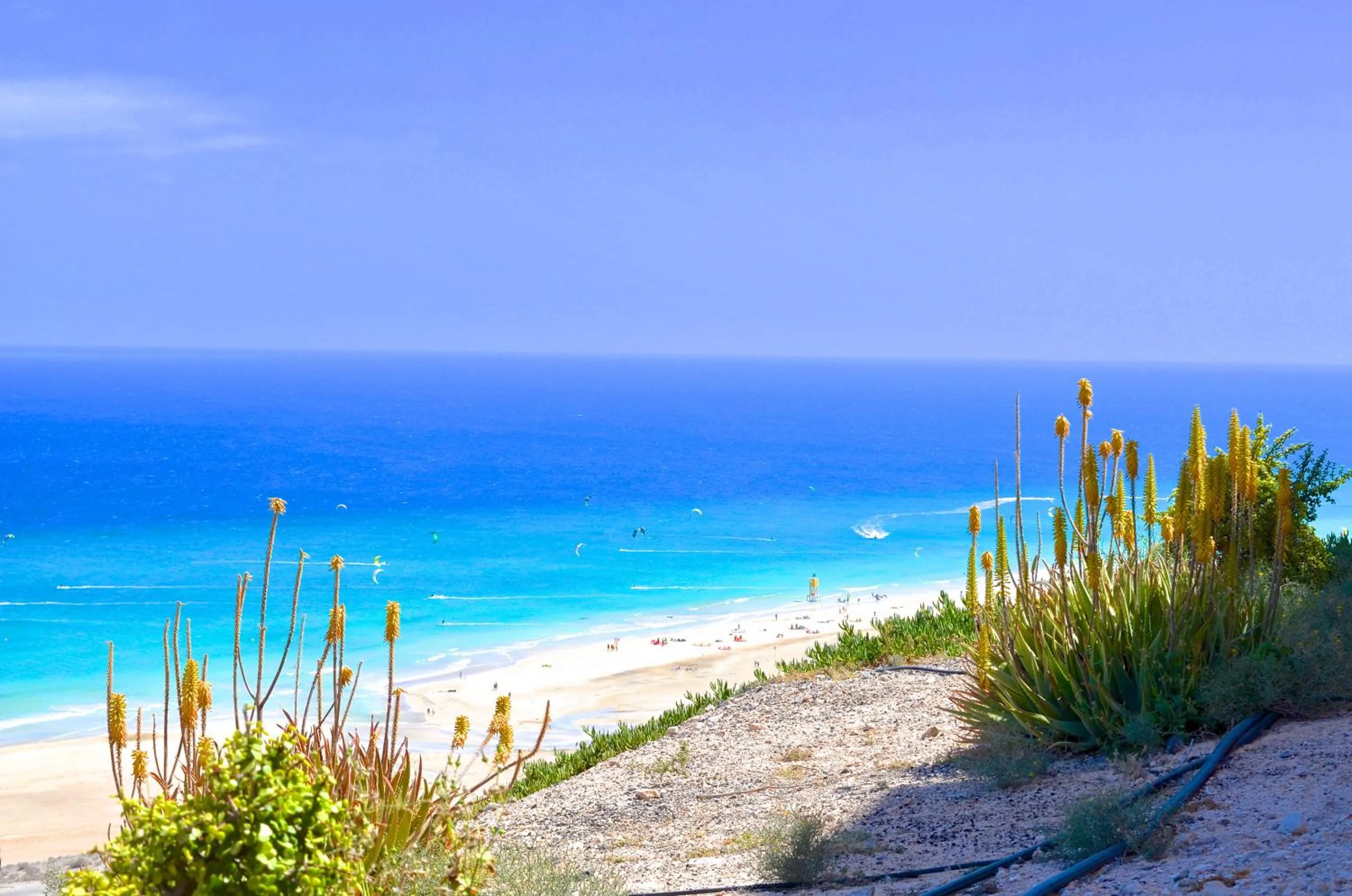 Natural landscape in Residencial Playa Paraiso