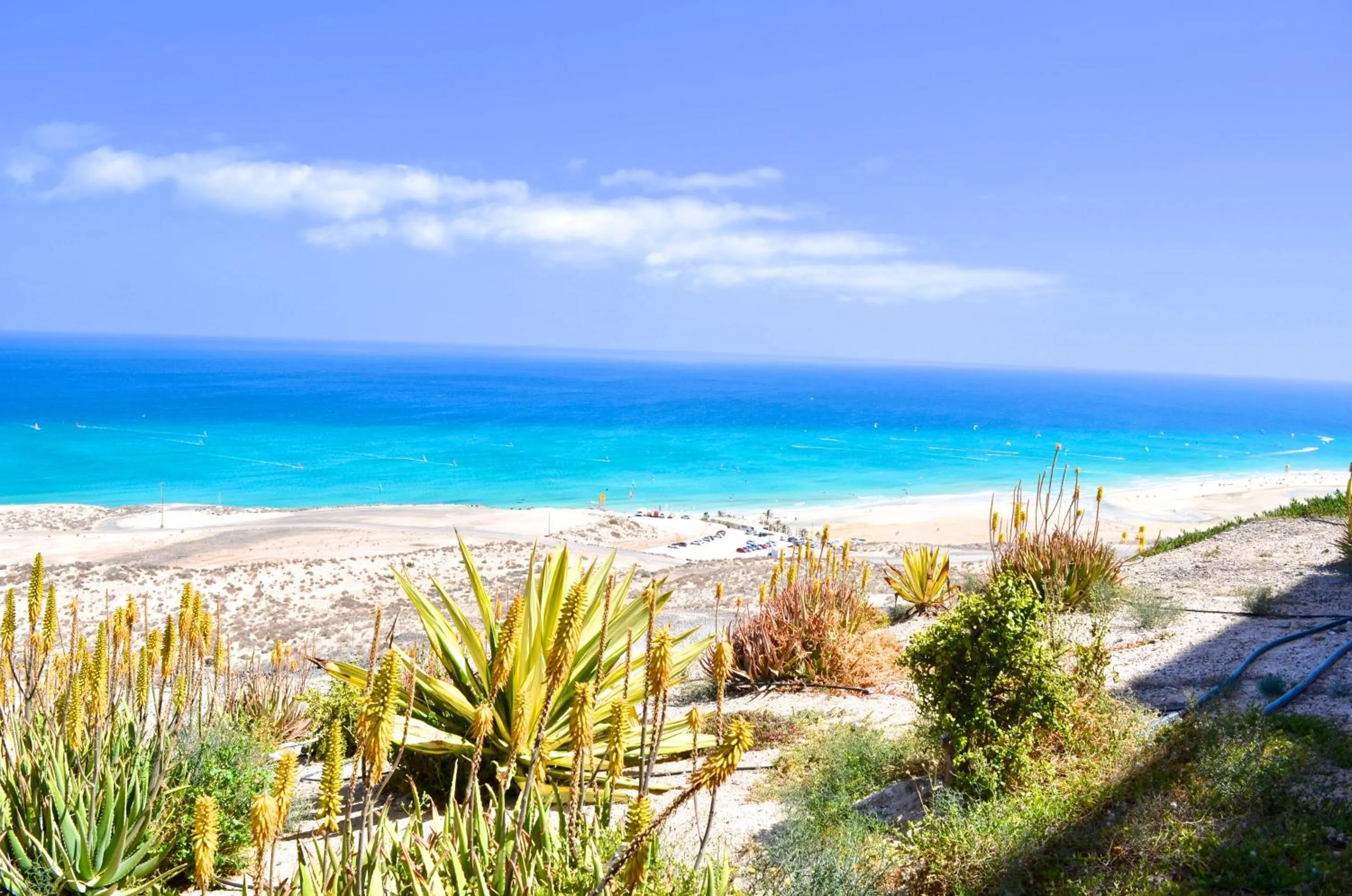 Natural landscape in Residencial Playa Paraiso