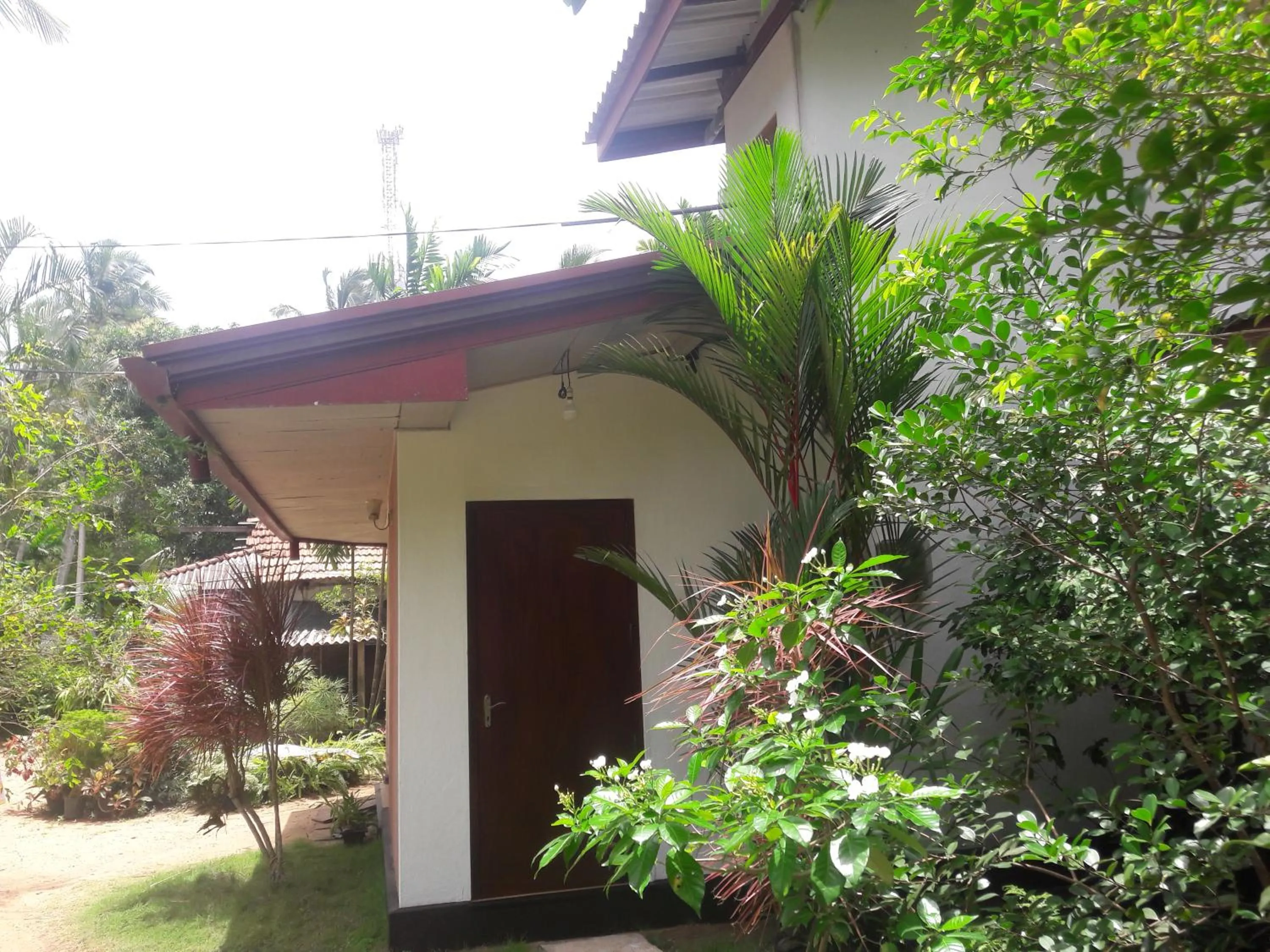 Garden in Sisanda Residence