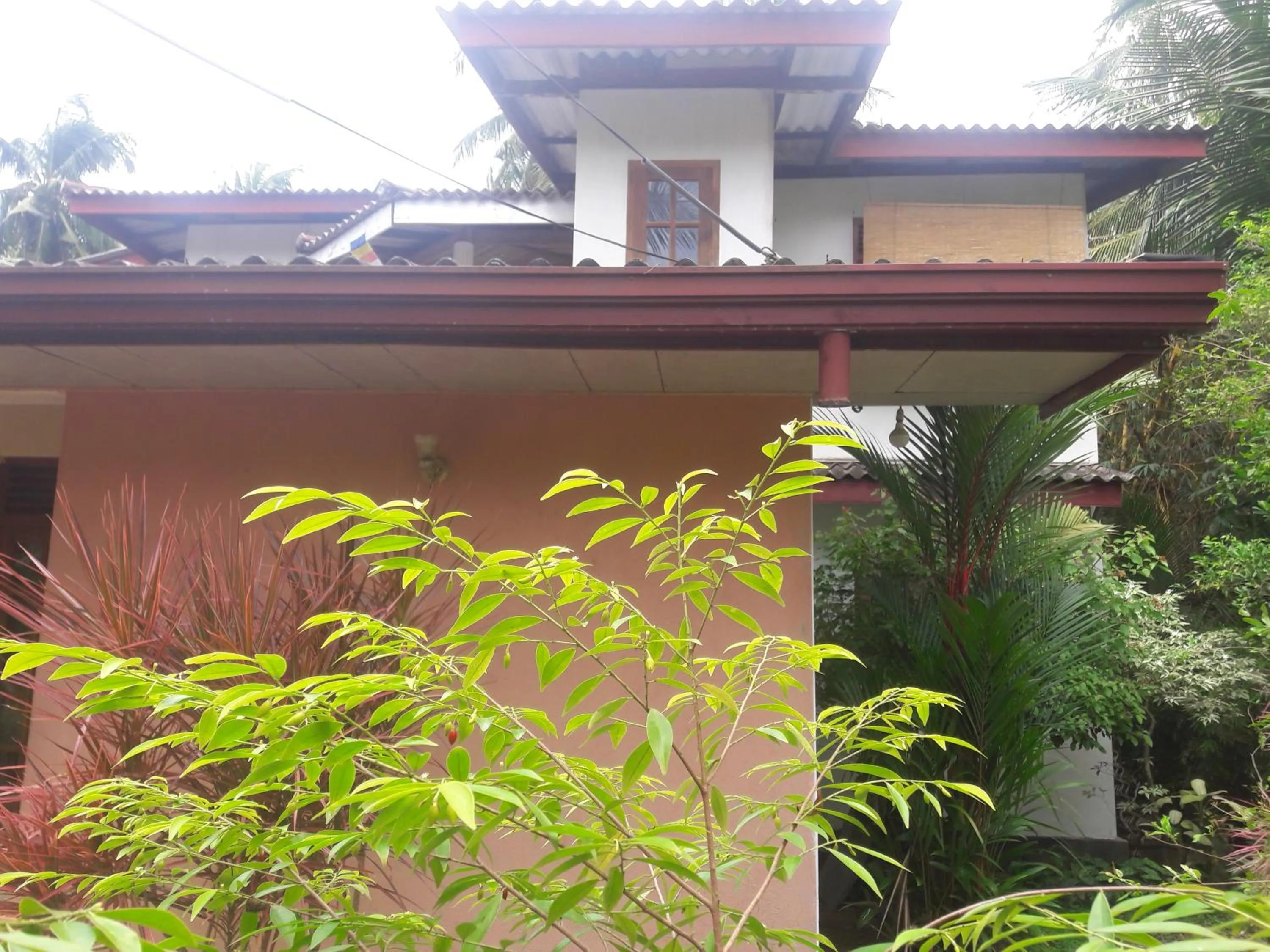 Garden in Sisanda Residence