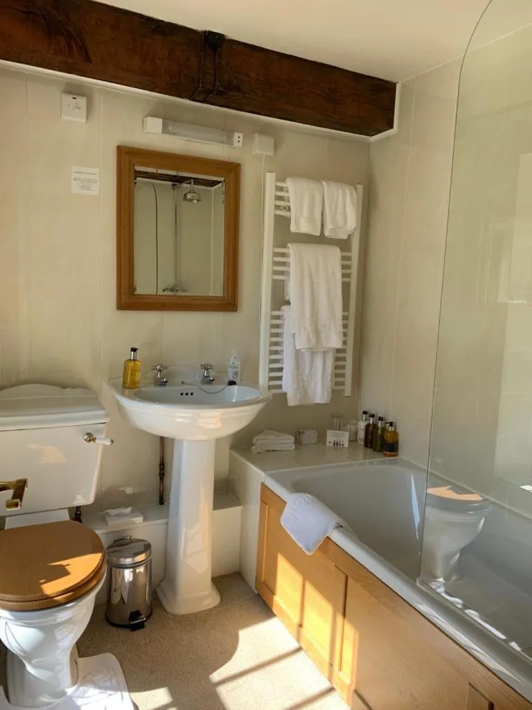 Bathroom in Ty Mawr Country Hotel & Restaurant