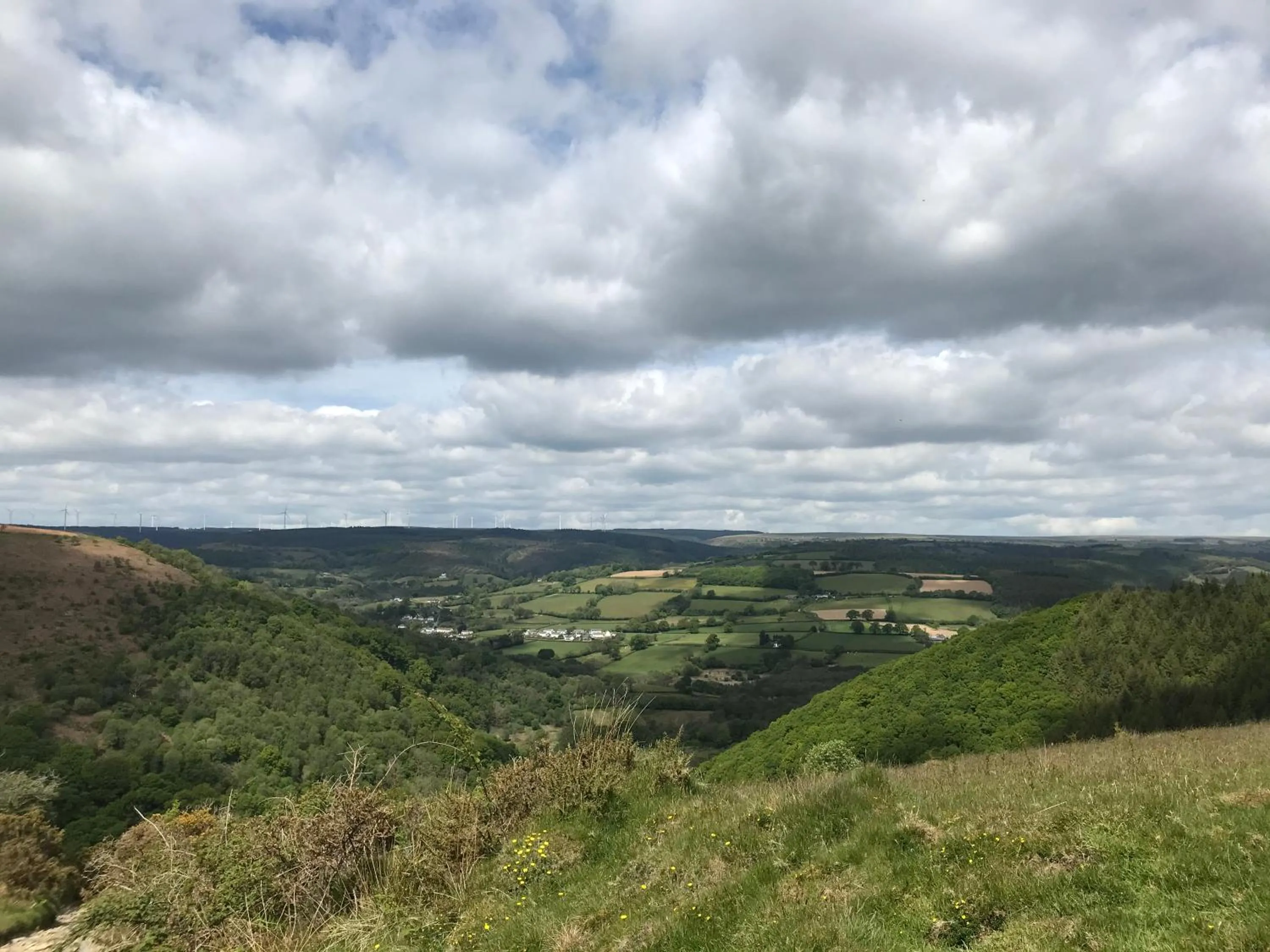 Natural landscape in Ty Mawr Country Hotel & Restaurant