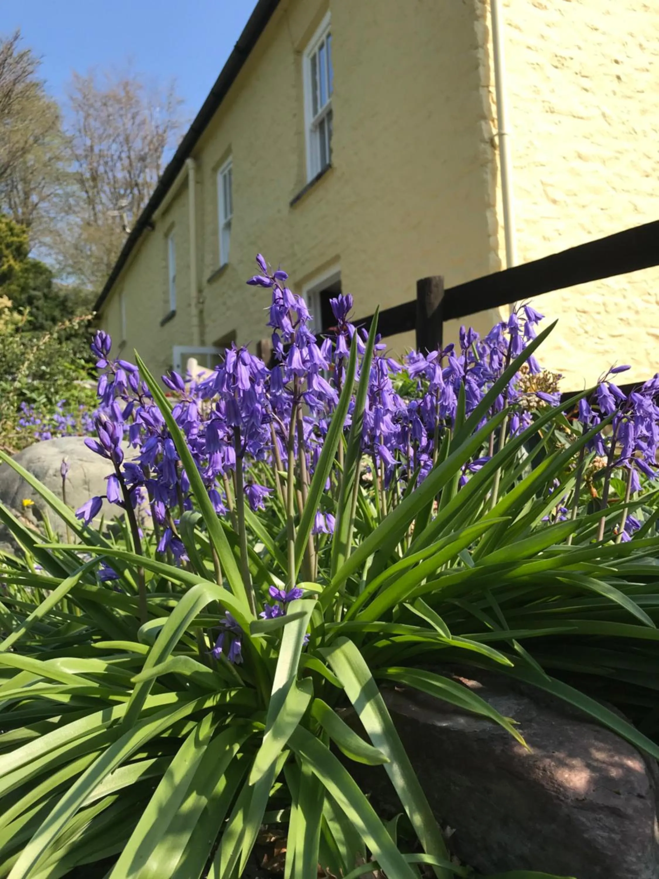 Property building in Ty Mawr Country Hotel & Restaurant