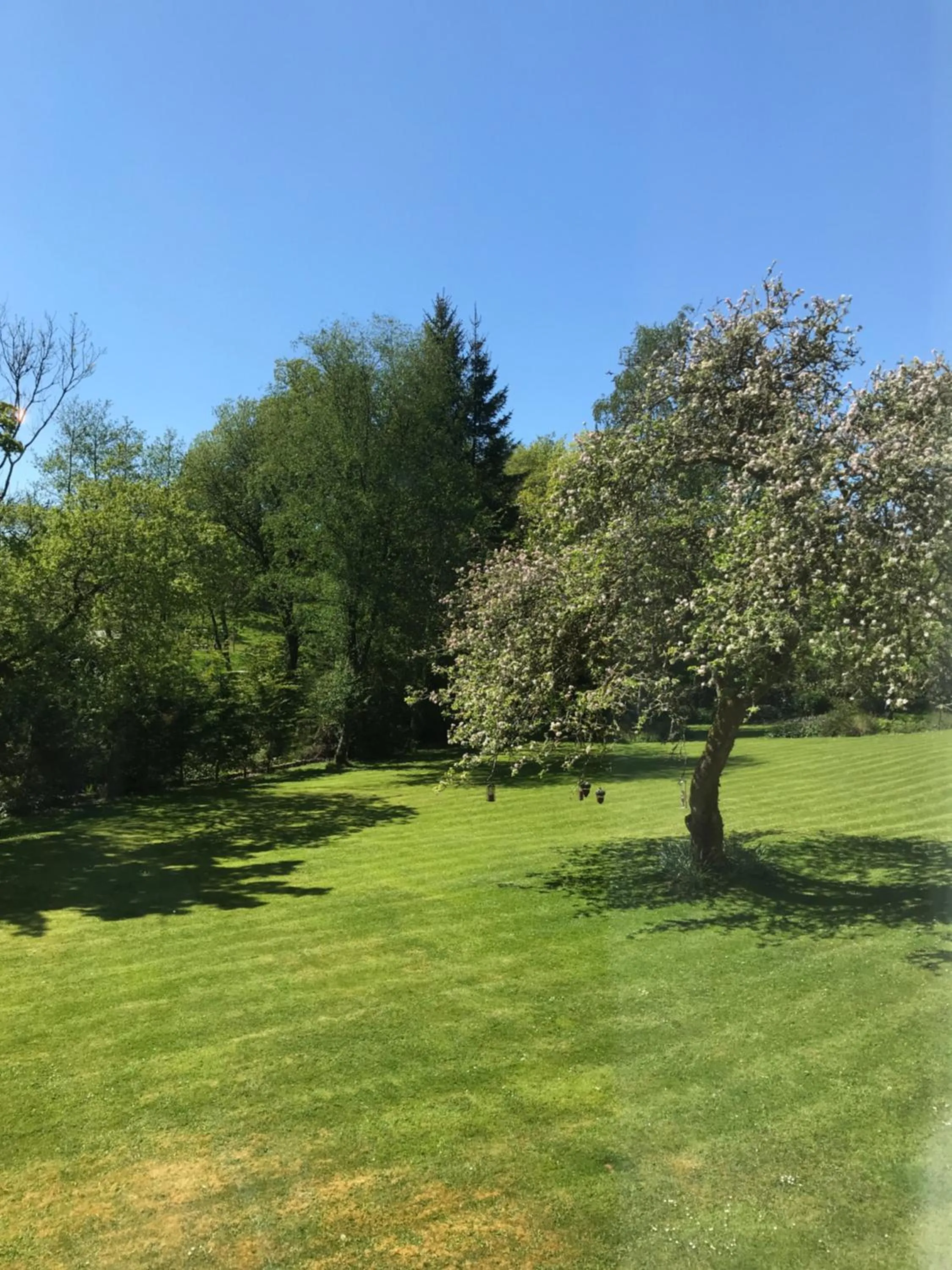 Garden in Ty Mawr Country Hotel & Restaurant